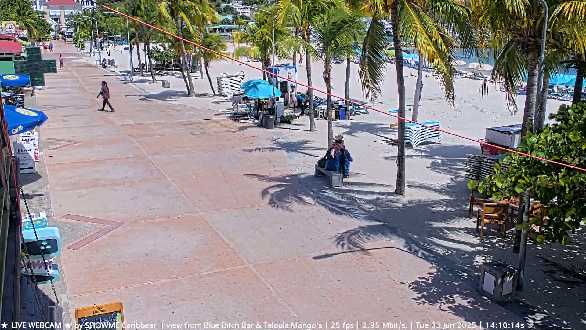 A paved walkway leads to a sandy beach lined with palm trees and beach chairs under a sunny sky.