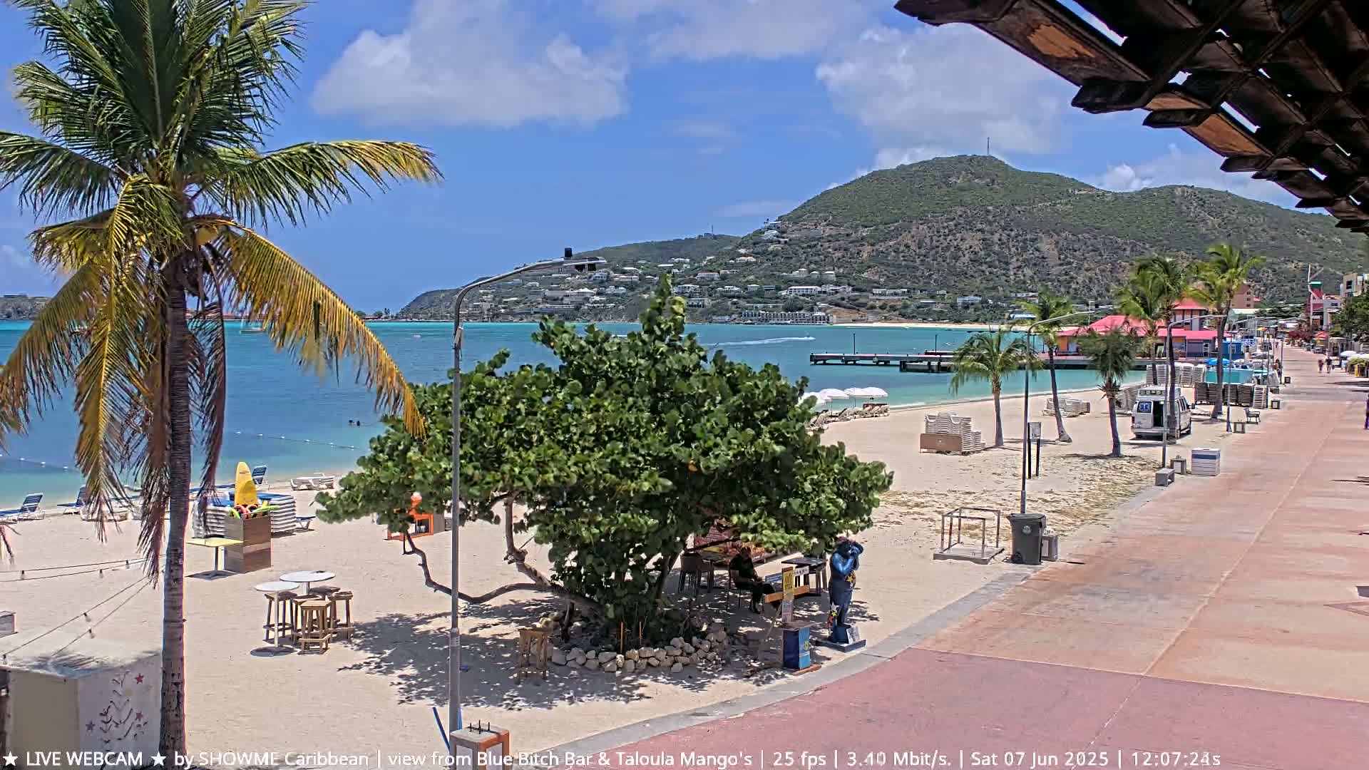 A sunny beach scene with a palm tree, beach chairs, and a boardwalk overlooking calm turquoise water and a distant hill.