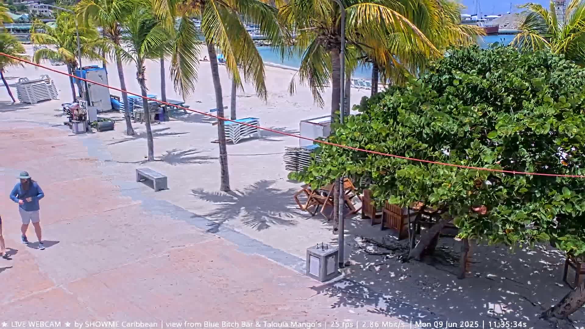 A sandy beach with lounge chairs and palm trees, a paved walkway with a person walking, and some outdoor furniture under a shady tree are visible on a sunny day.