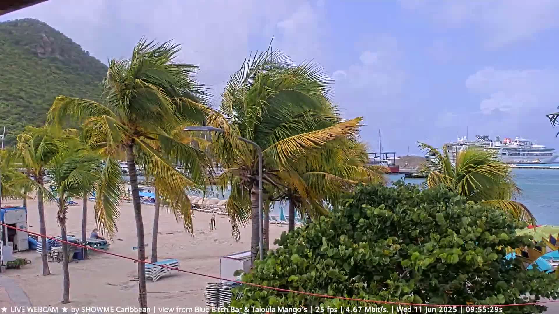 A sandy beach with palm trees bending in a windy, partly cloudy day shows a cruise ship in the harbor near a green hill.
