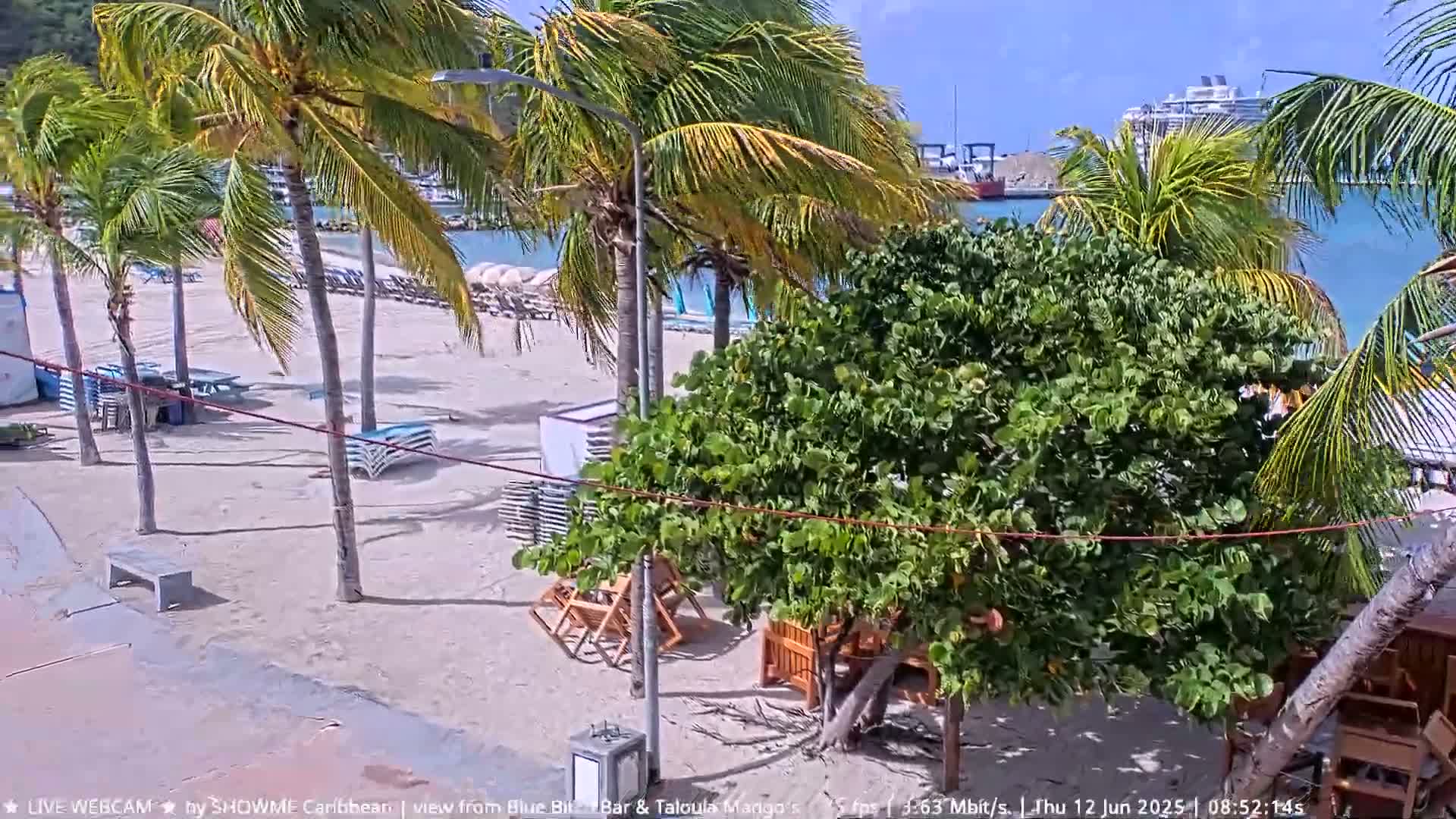 A sandy beach with palm trees, lounge chairs, and a partially obscured view of a cruise ship in the background under sunny skies with a light breeze.