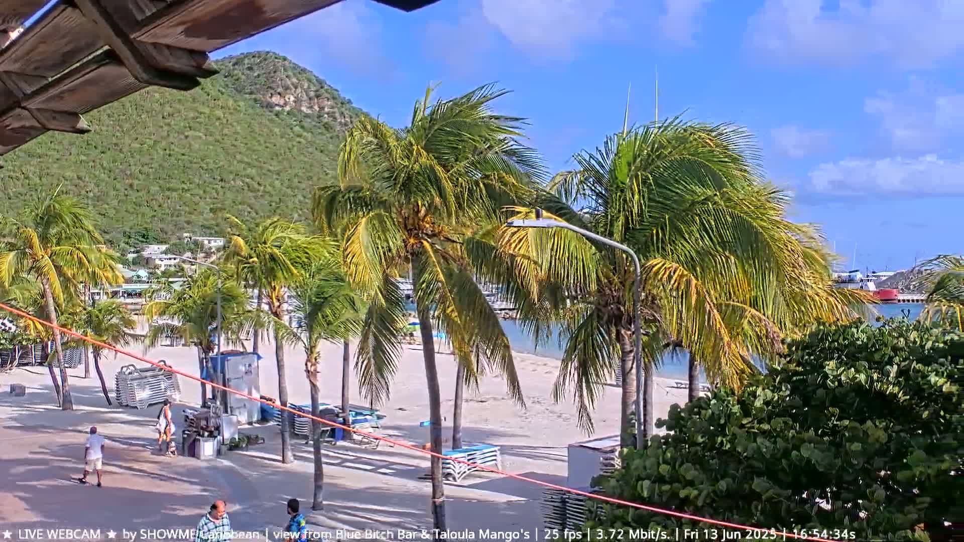 A sandy beach with palm trees and a few people is visible, with a green hill in the background under a sunny sky.