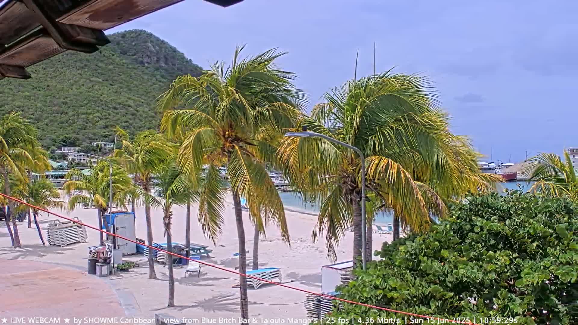 A sandy beach with palm trees, beach chairs, and a small building is visible under a bright, sunny sky, with a green hill in the background and calm water beyond the beach.