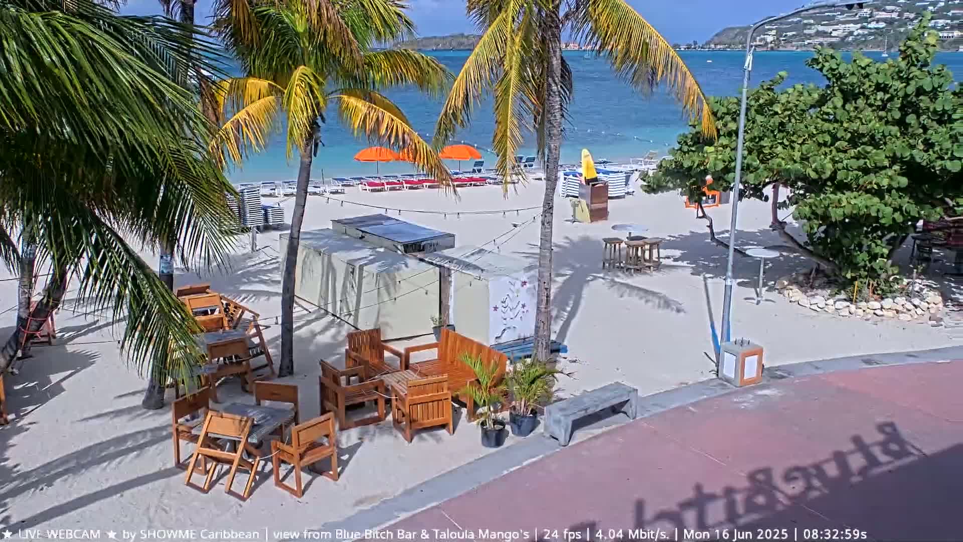 A sunny beach scene shows a sandy area with palm trees, beach chairs and umbrellas, outdoor seating, and a calm body of water in the background.