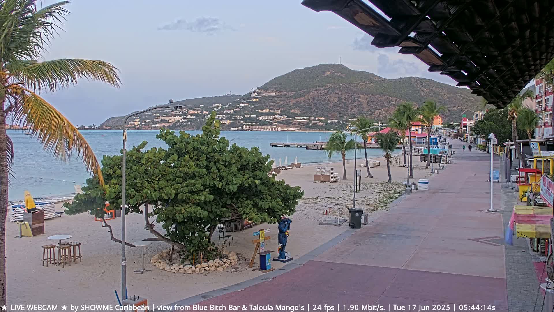 A mostly empty beach and boardwalk, bordered by palm trees and buildings, stretches toward a calm ocean and a hill under an overcast sky.