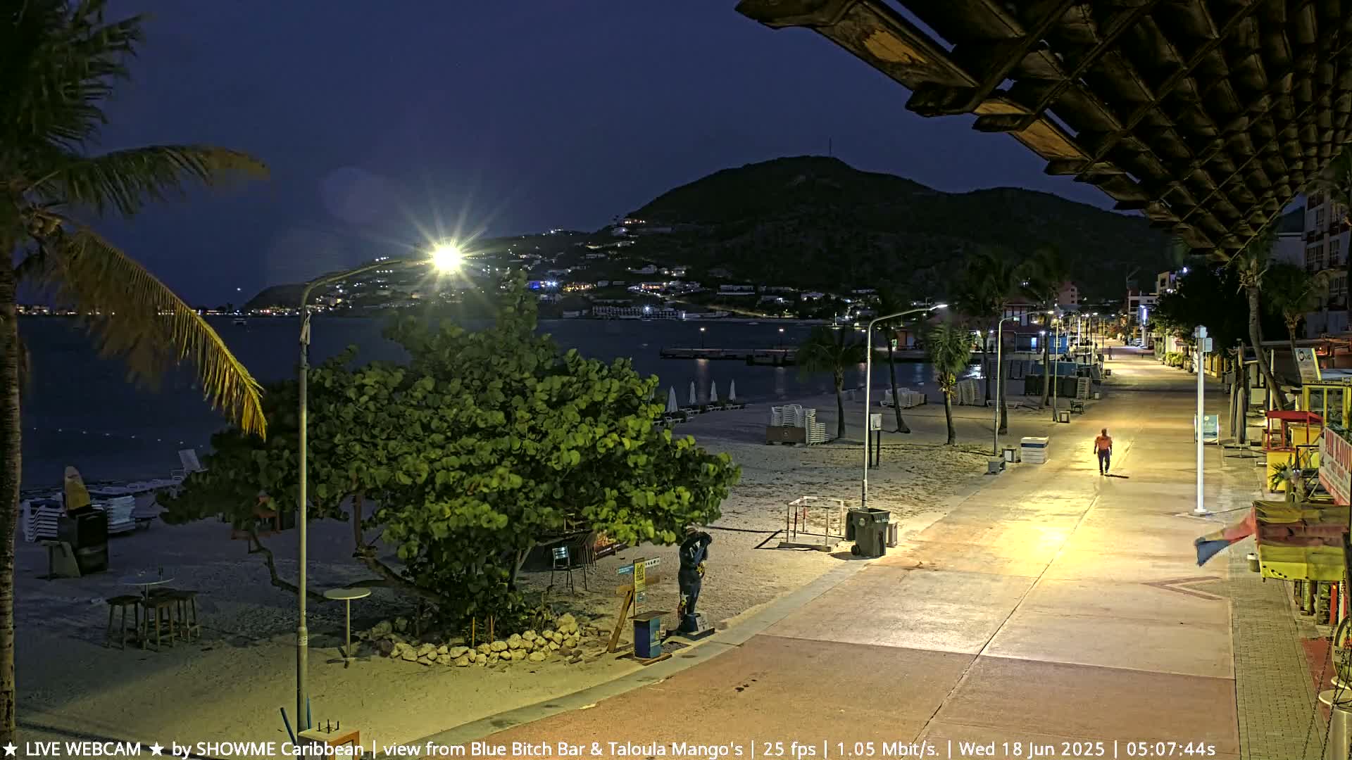 A nighttime beach scene shows a paved walkway lined with palm trees and streetlights, leading to a calm body of water under a clear, dark sky.