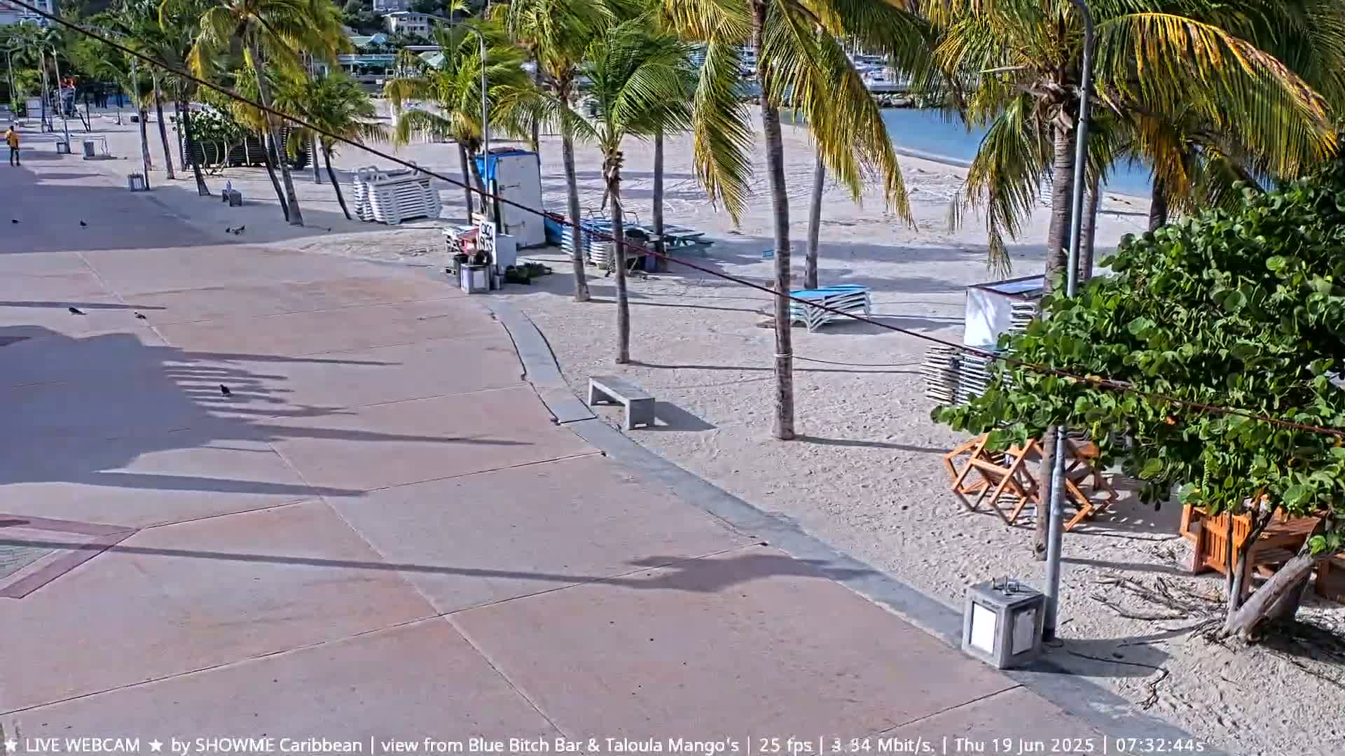 A mostly empty sandy beach with palm trees, beach chairs, and a paved walkway is visible on a sunny day.