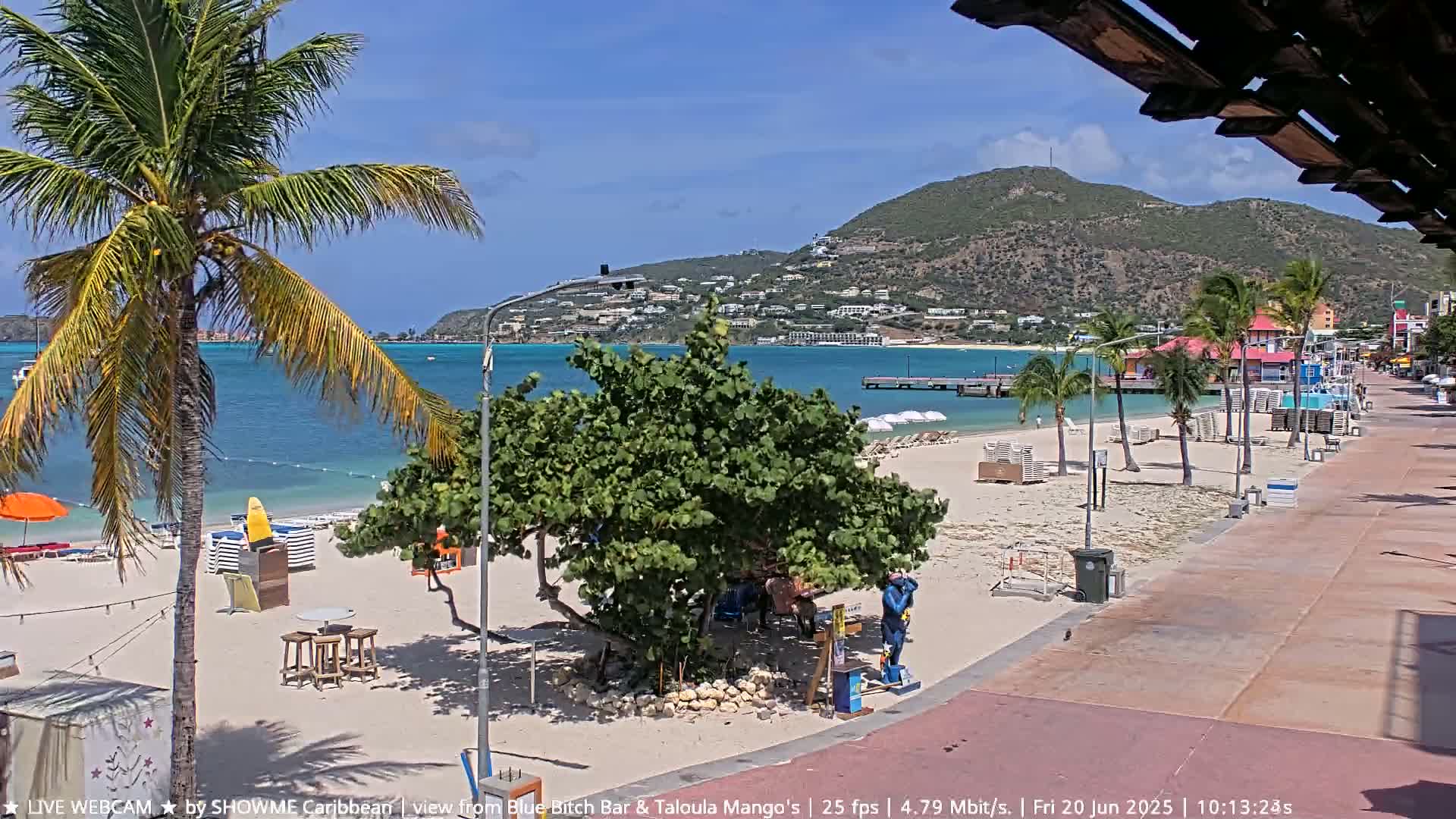 A sunny beach scene shows a sandy shoreline with palm trees, lounge chairs, and a boardwalk, all situated in front of calm blue water and a distant hill.