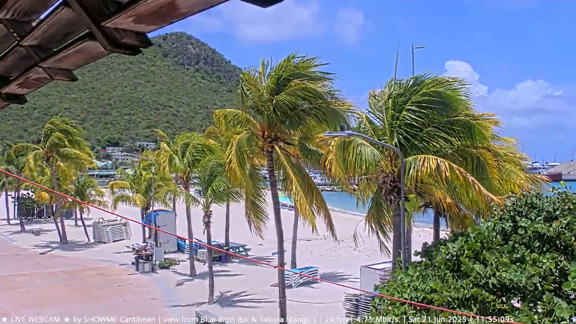 A sandy beach with palm trees blowing in the wind, a calm body of water, and a green hill in the background under a sunny sky.