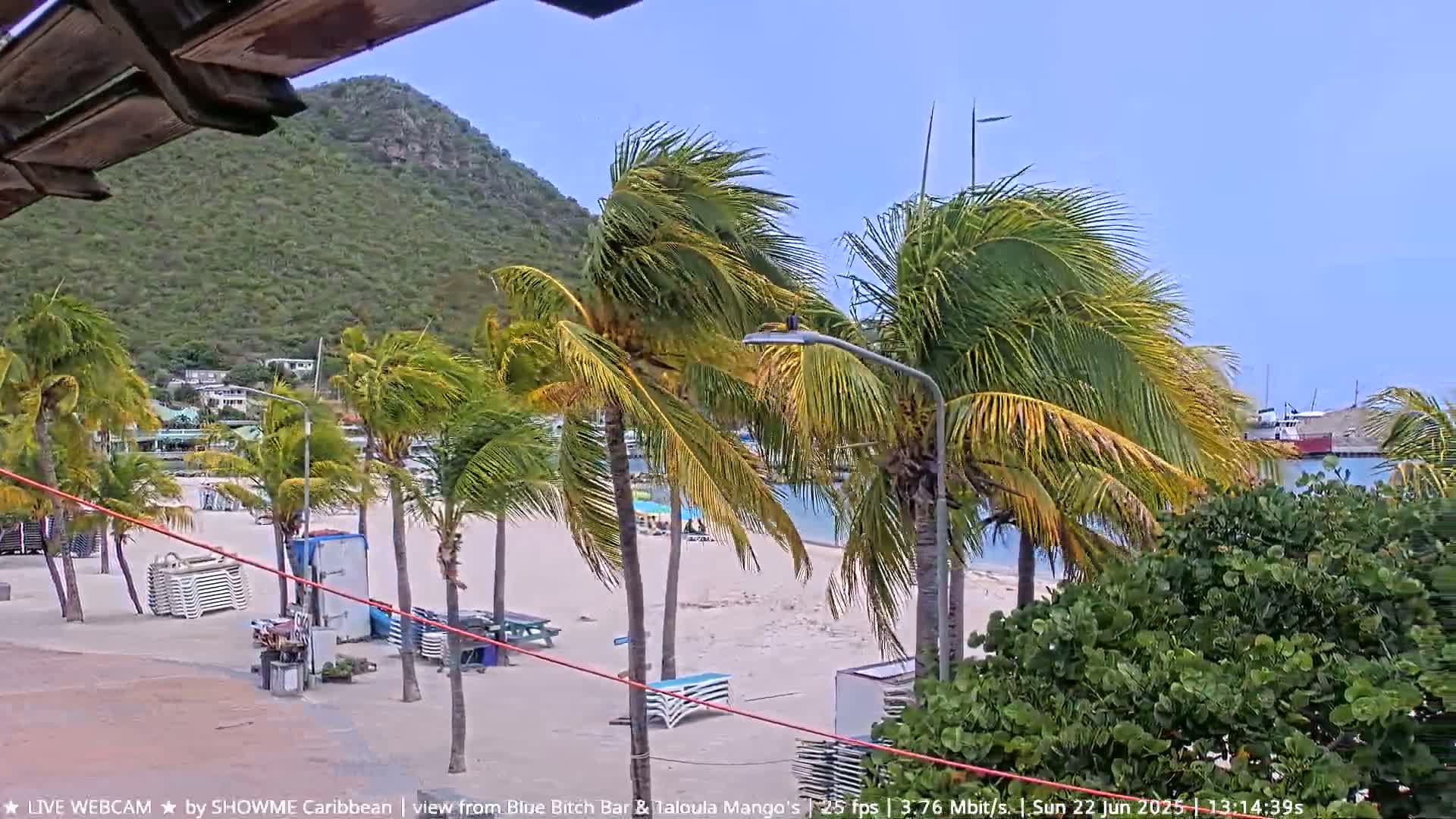 A sandy beach with palm trees blowing in the wind, under a mostly clear sky, is situated near a calm body of water and a green hillside.