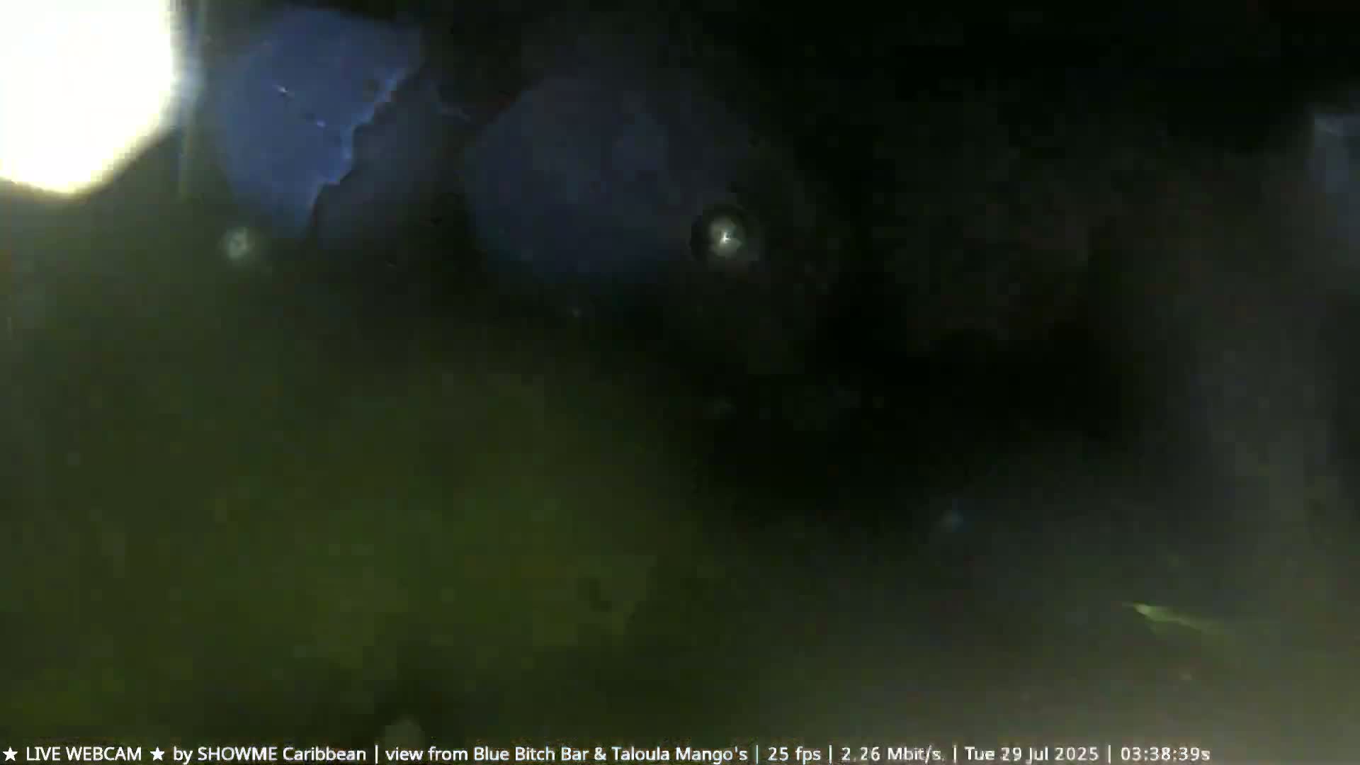 A dark, blurry nighttime scene shows a patch of dimly lit, possibly grassy ground.