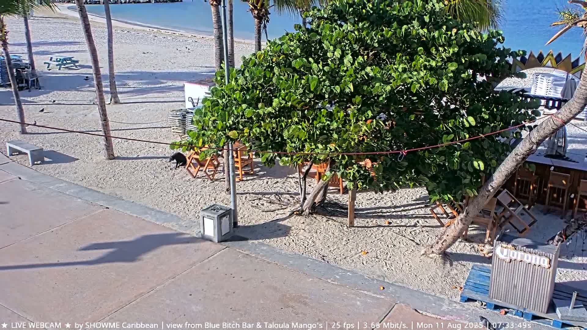 Carribean , Sint Maarten Great Bay Beach & Boardwalk  Live Cam - Philipsburg , Sint Maarten, Netherland