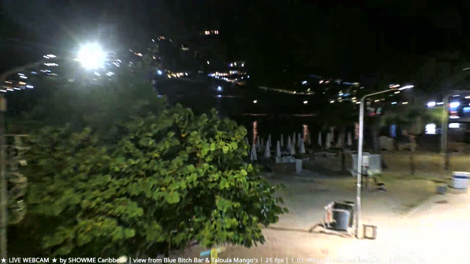 A clear night view shows a beach or waterside area with numerous closed beach umbrellas, a large green tree, and distant city lights reflecting across the dark water.
