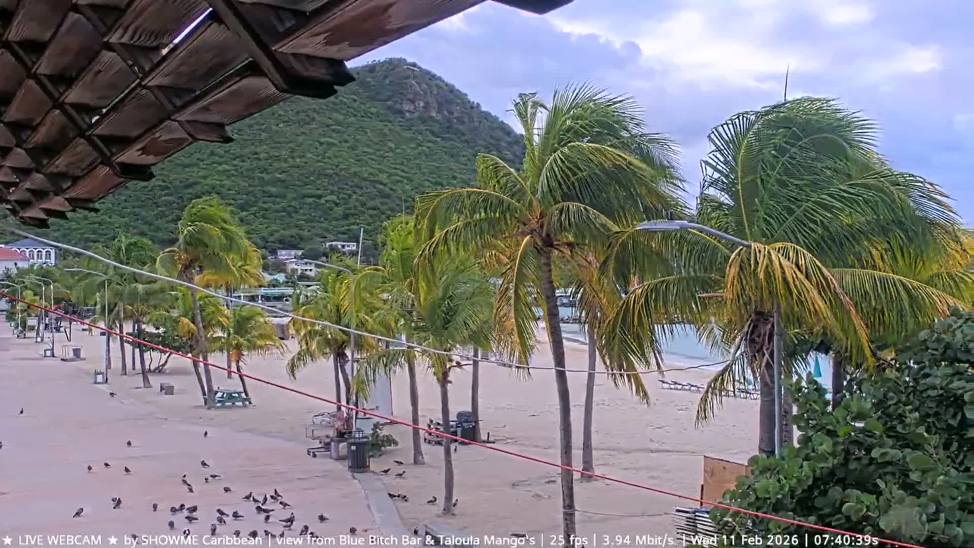 Carribean , Sint Maarten Great Bay Beach & Boardwalk  Live Cam - Philipsburg , Sint Maarten, Netherland