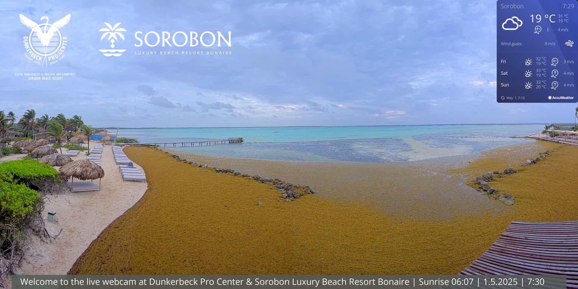 A beach with calm, light-blue water, a sandy shore covered in seaweed, and lounge chairs under thatched umbrellas sits under an overcast sky.