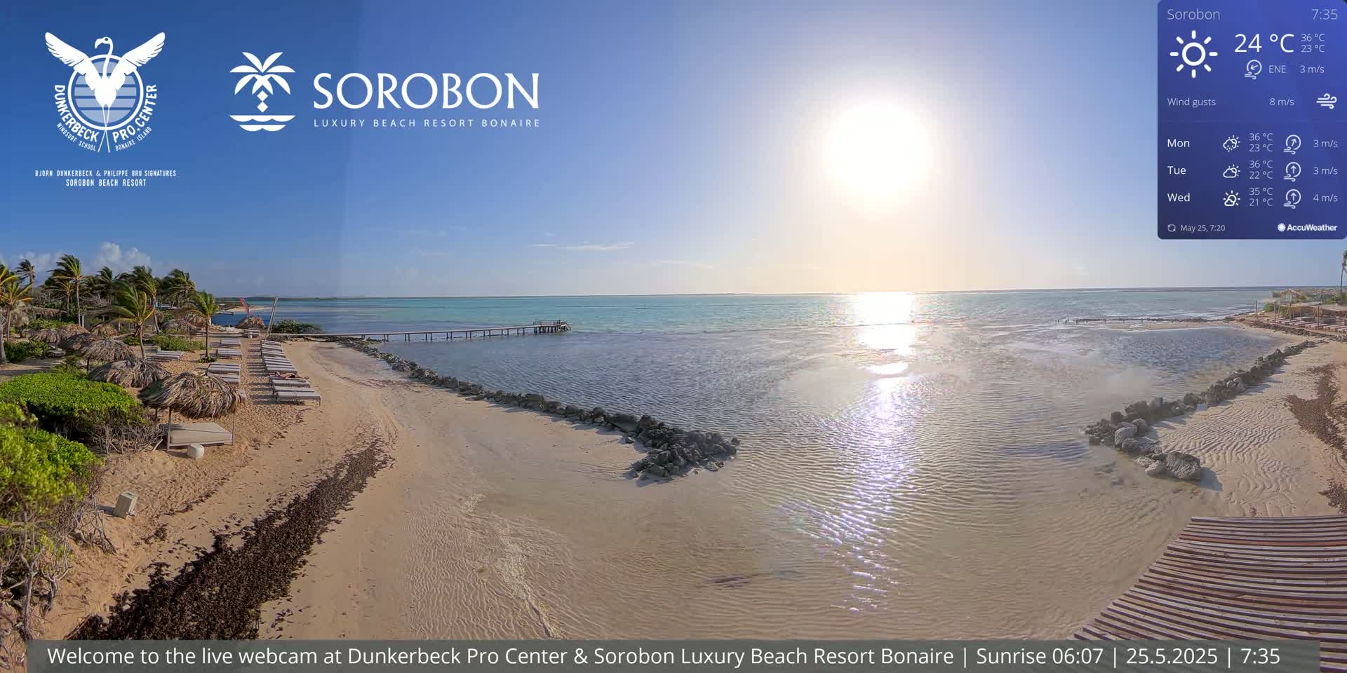 A sandy beach with lounge chairs and palm trees stretches to a calm, sunny ocean with a pier extending into the water.