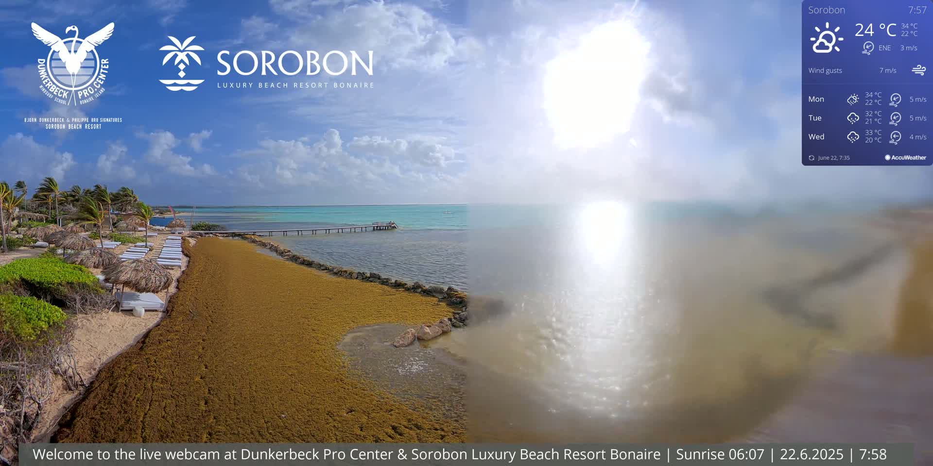 A beach with lounge chairs and thatch umbrellas is covered in seaweed, with a calm, sunny ocean in the background.