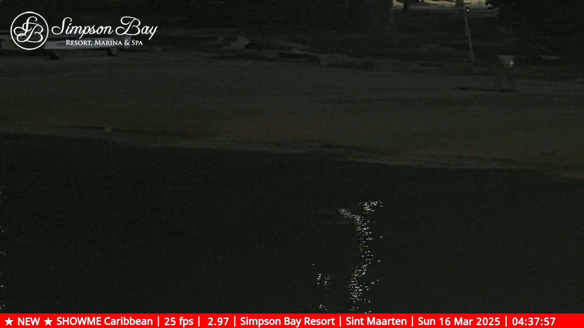 A dark, nighttime view of a calm body of water next to a dark shoreline.