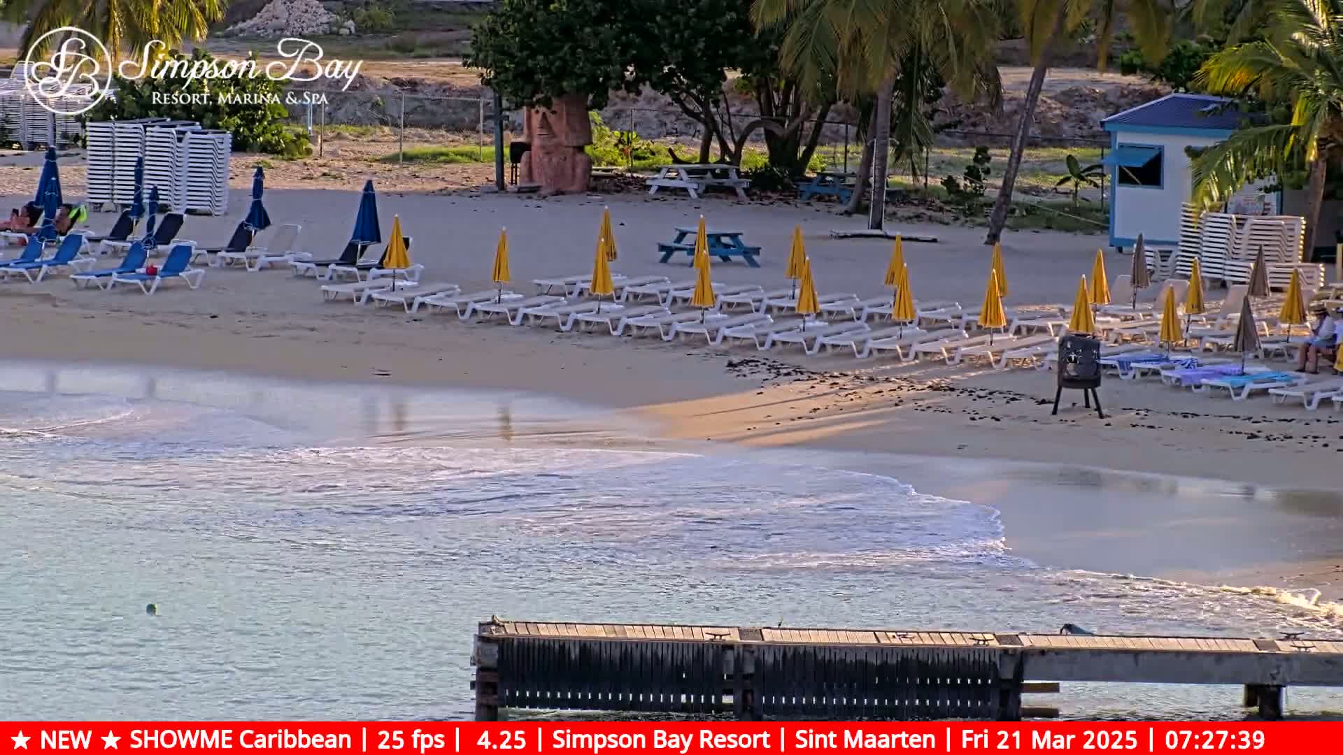 A sandy beach with rows of lounge chairs and yellow umbrellas, a calm sea with small waves, and tropical vegetation in the background.