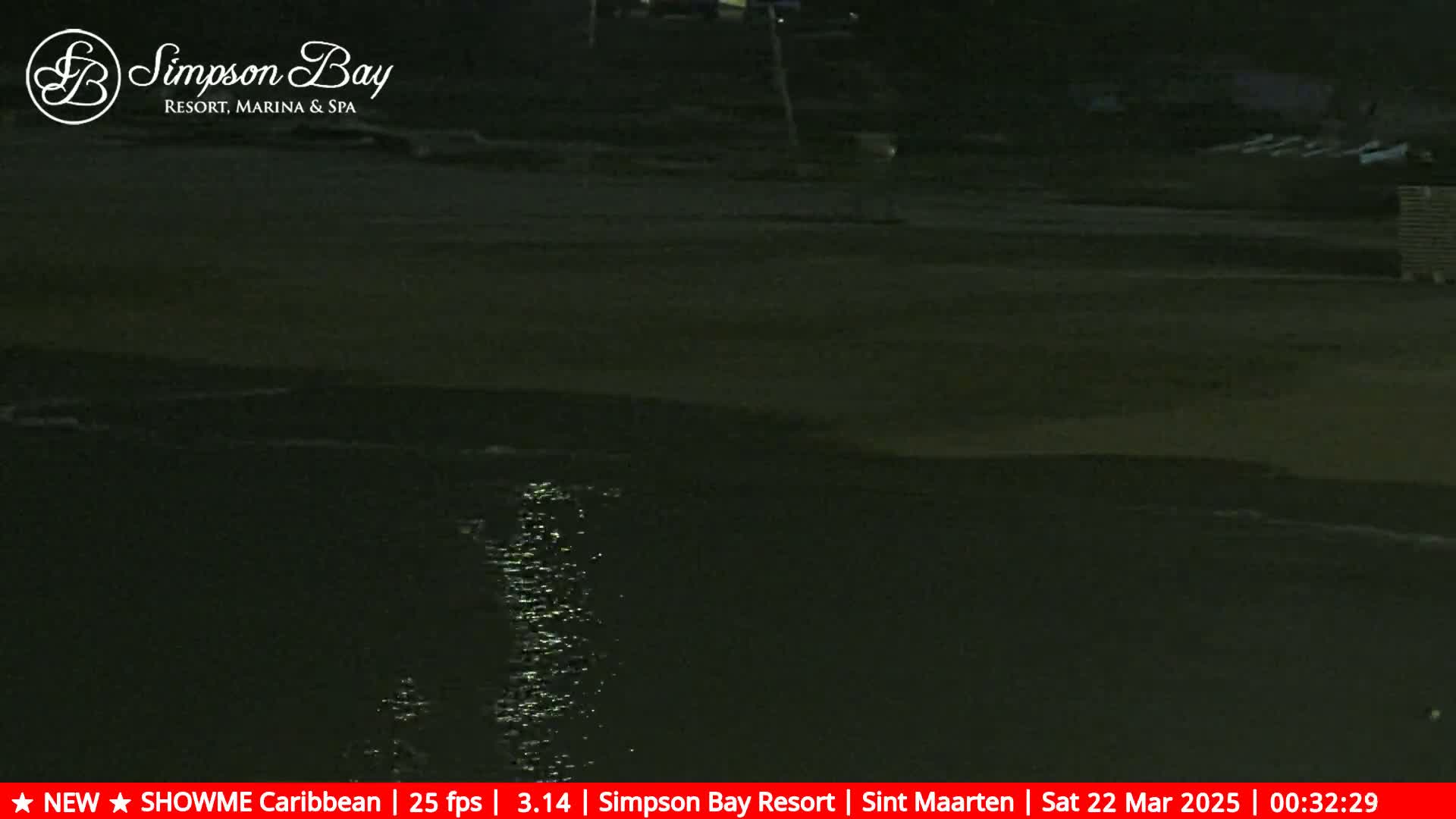 A dark, nighttime view shows calm water lapping a sandy shore.