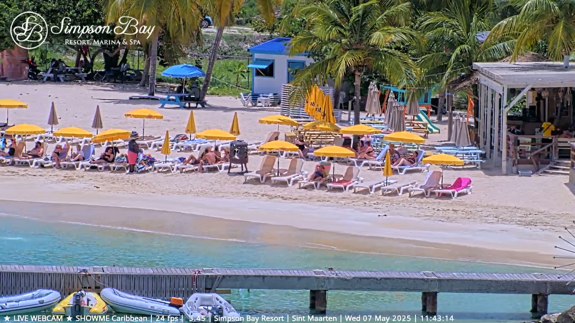 A sunny beach scene shows numerous yellow umbrellas and lounge chairs occupied by people relaxing on a sandy beach next to calm, turquoise water and a wooden dock with small boats.