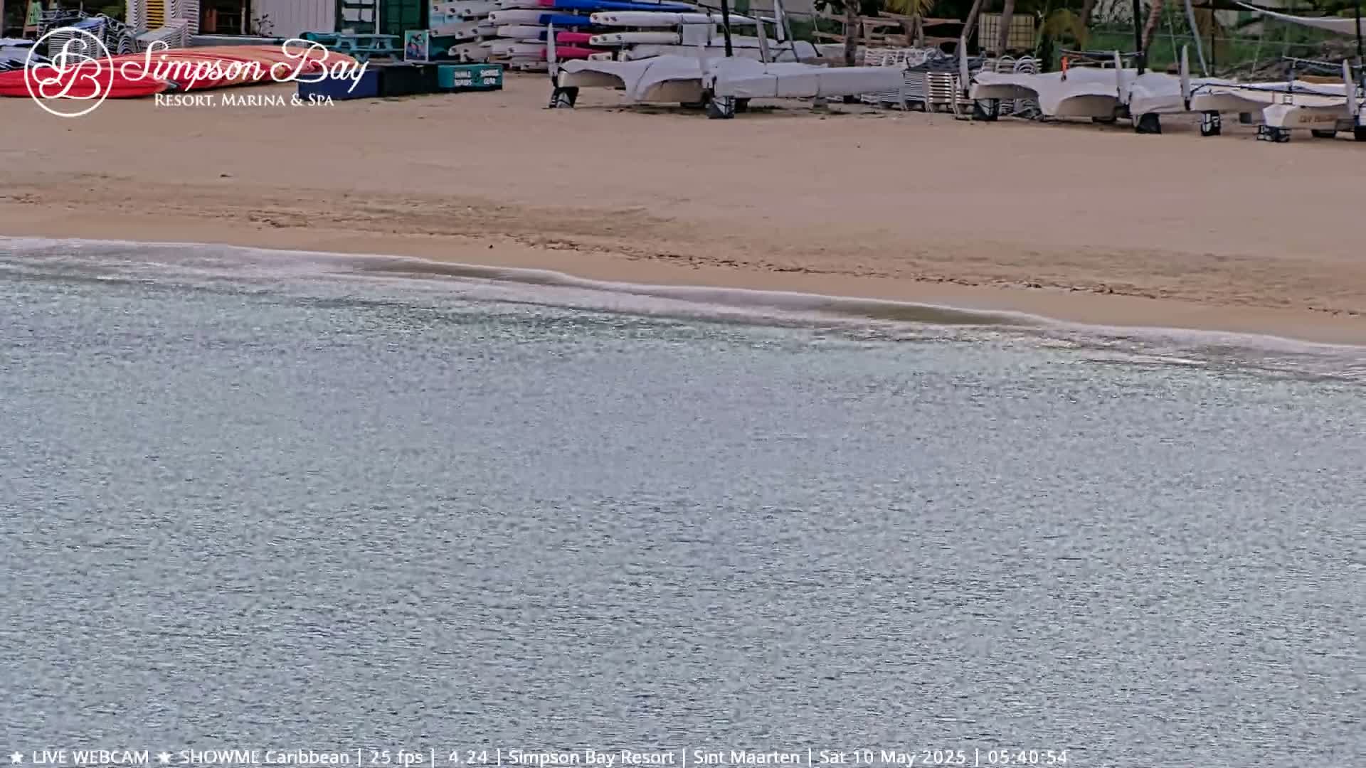 Several sailboats and kayaks are parked on a sandy beach next to calm, shallow water.
