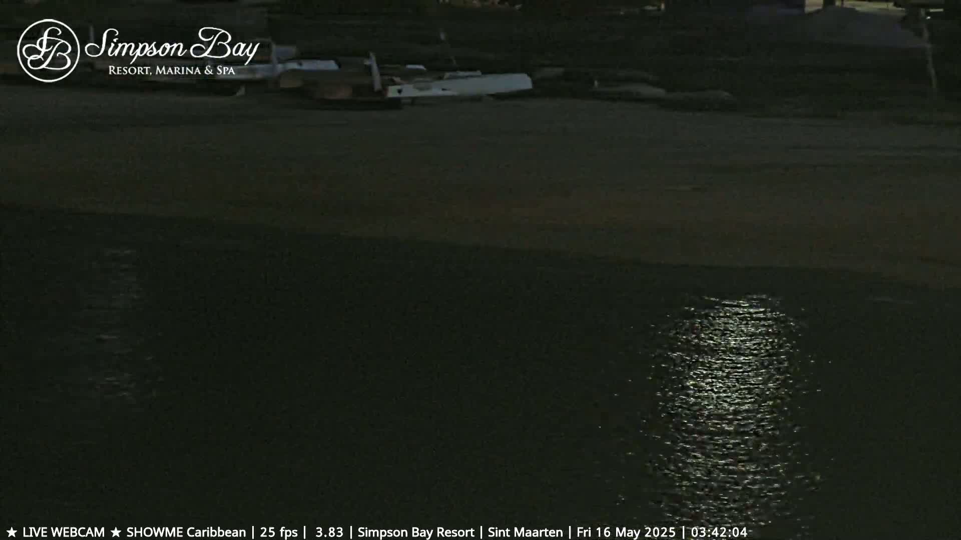 At night, a body of water reflects moonlight, with several boats visible on the shore in the distance.