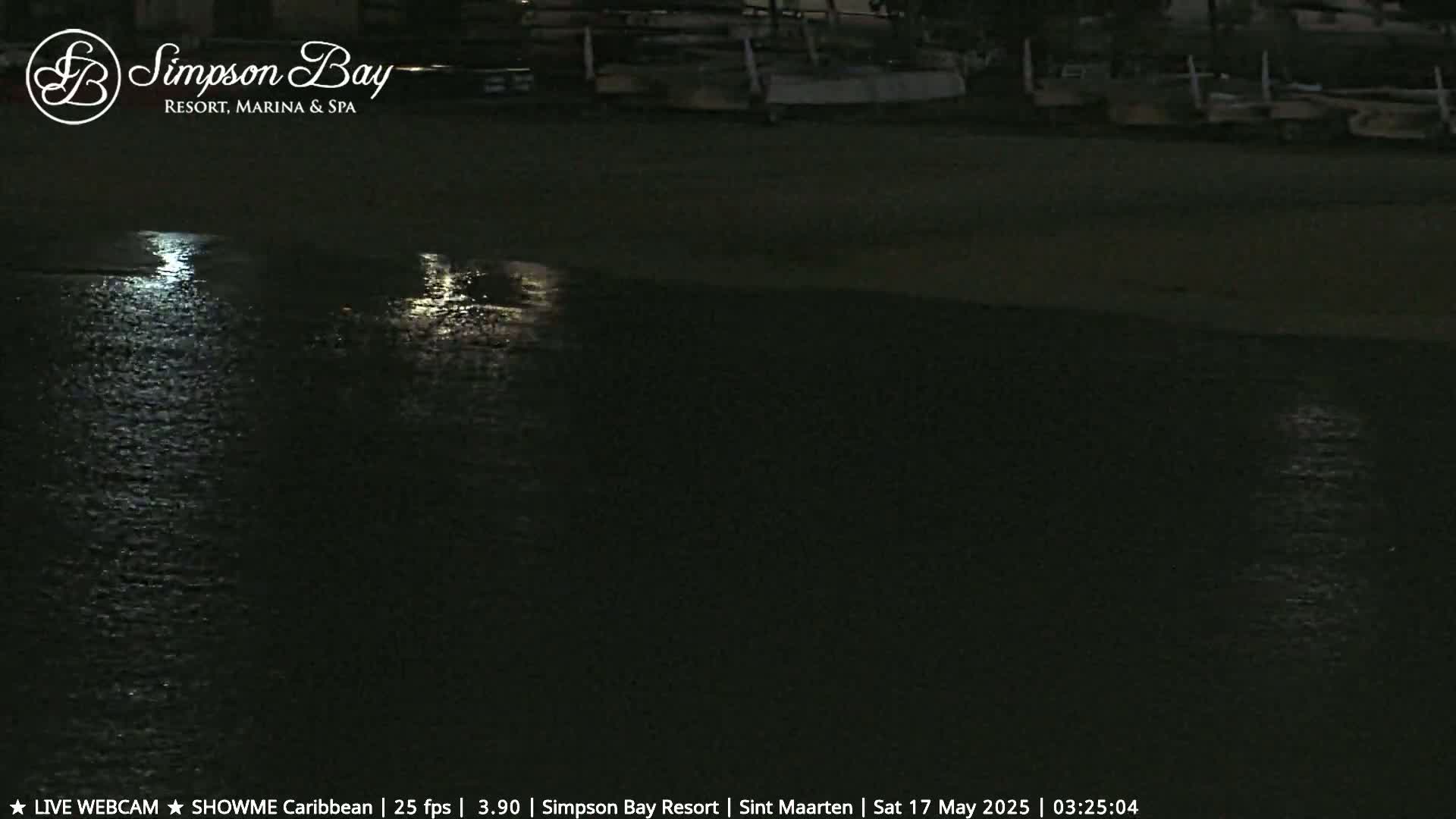 A dark nighttime scene shows a moonlit body of water next to a sandy shoreline with several boats moored at a dock.