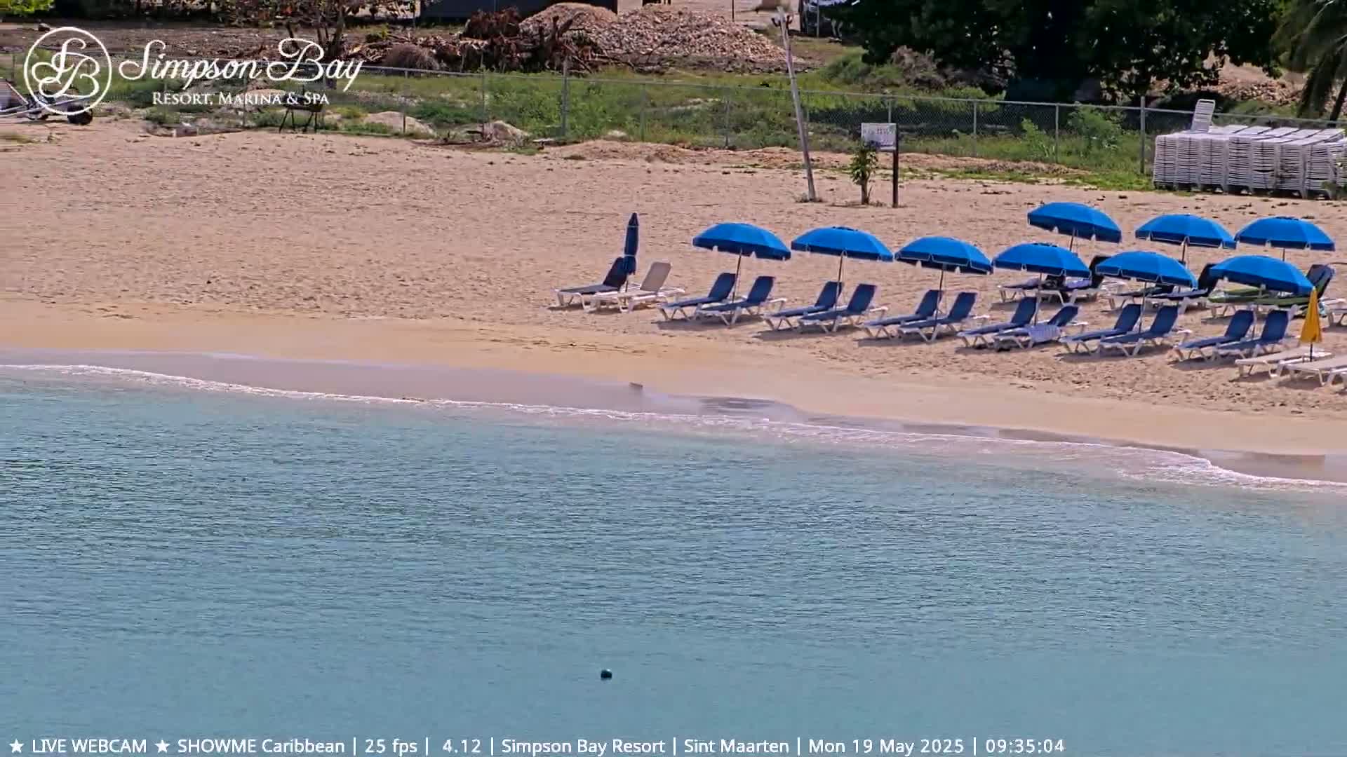 A sandy beach with numerous blue umbrellas and lounge chairs lines a calm, turquoise body of water.