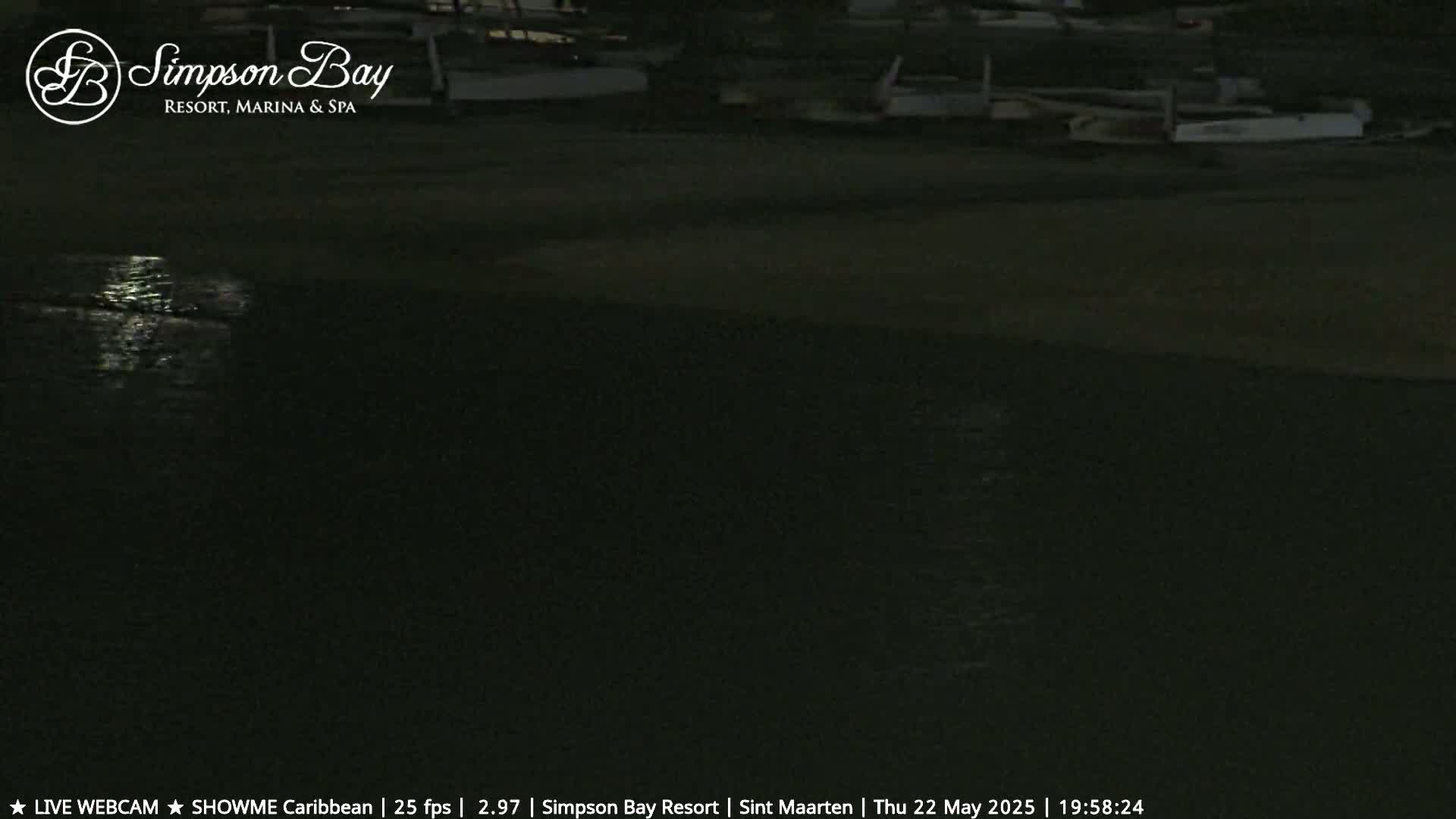 A dark, nighttime view of a calm body of water next to a dock with boats.