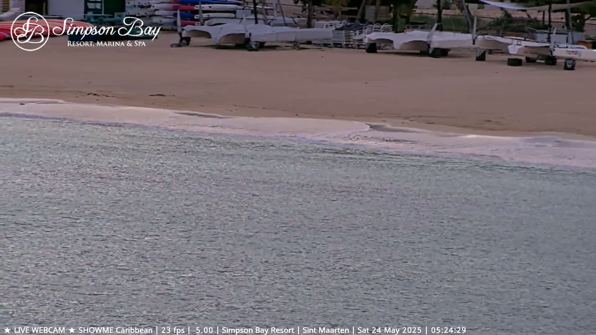 Calm, light-colored water laps a sandy beach where several small sailboats are parked.