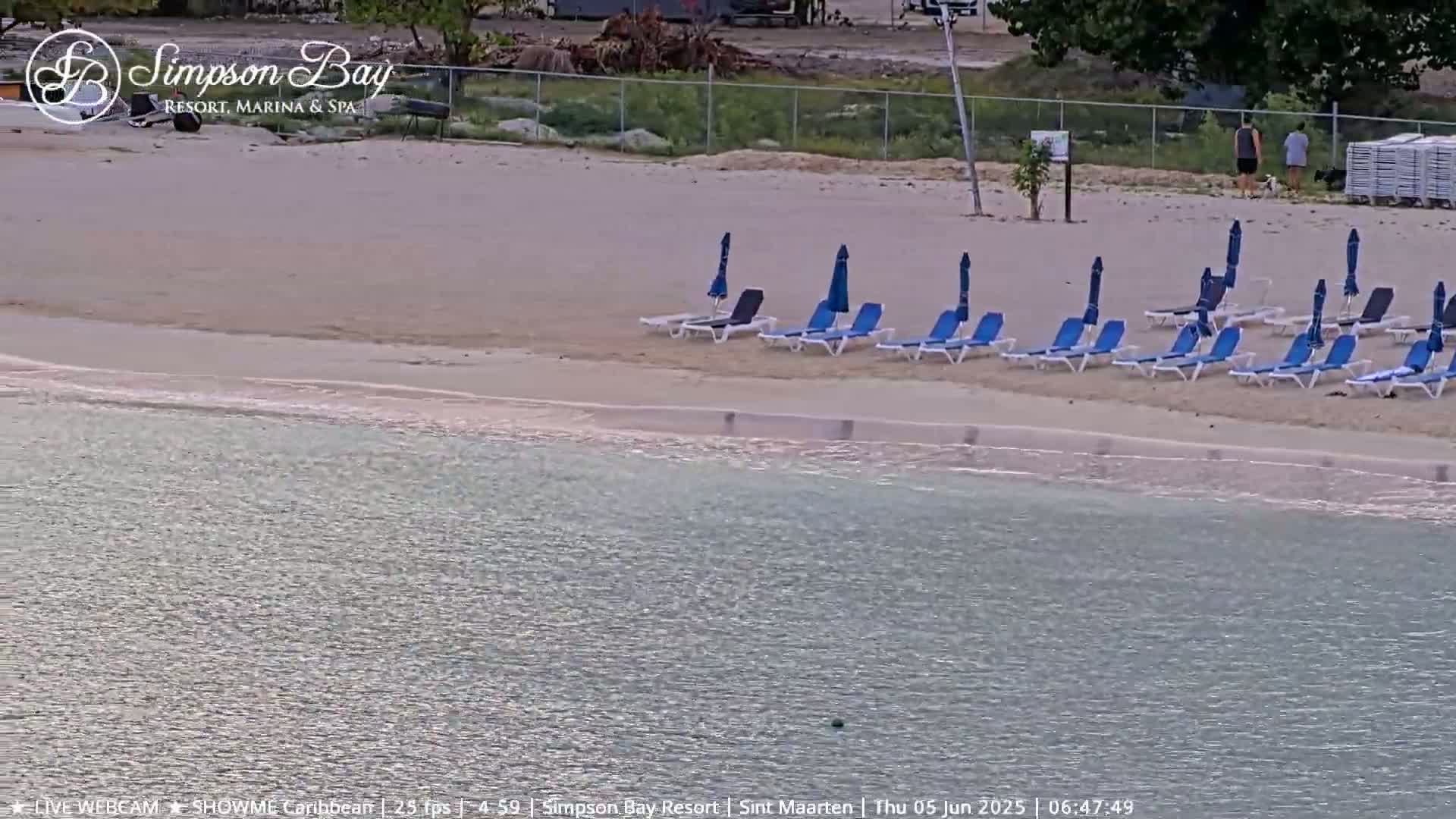 A sandy beach with numerous lounge chairs and umbrellas sits beside calm, shallow water.