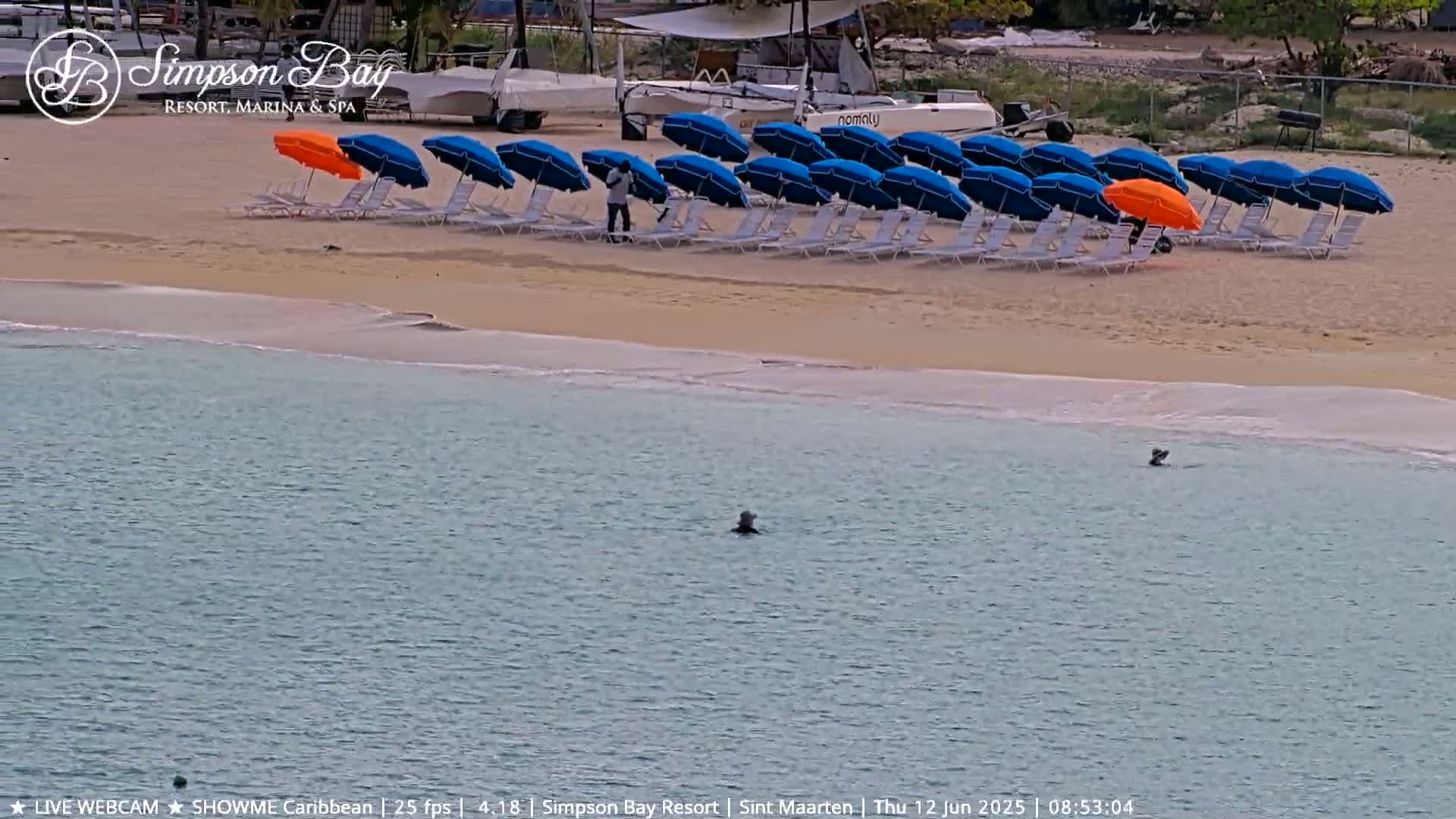 A sandy beach with rows of blue and one orange beach umbrellas and lounge chairs is next to calm, clear water where a few people are swimming.