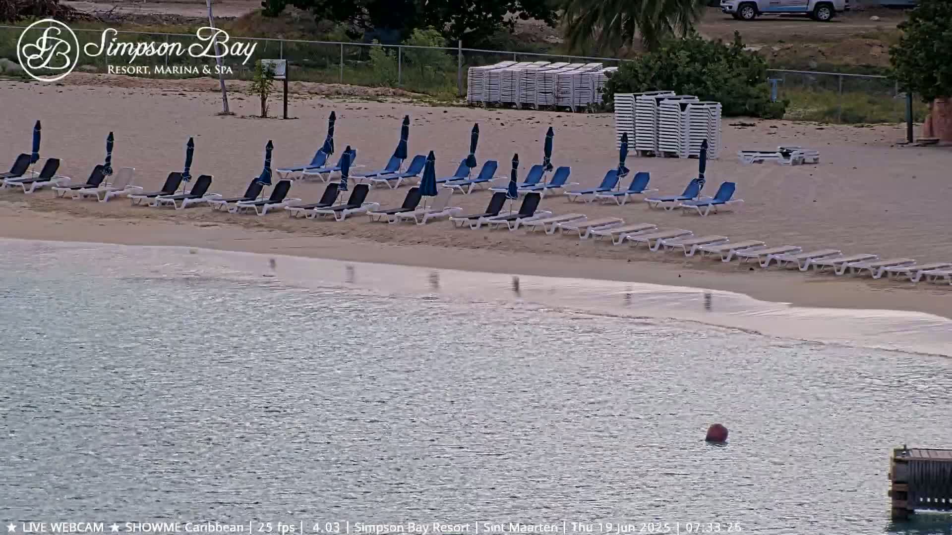 A sandy beach with rows of lounge chairs and umbrellas sits next to calm, shallow water.