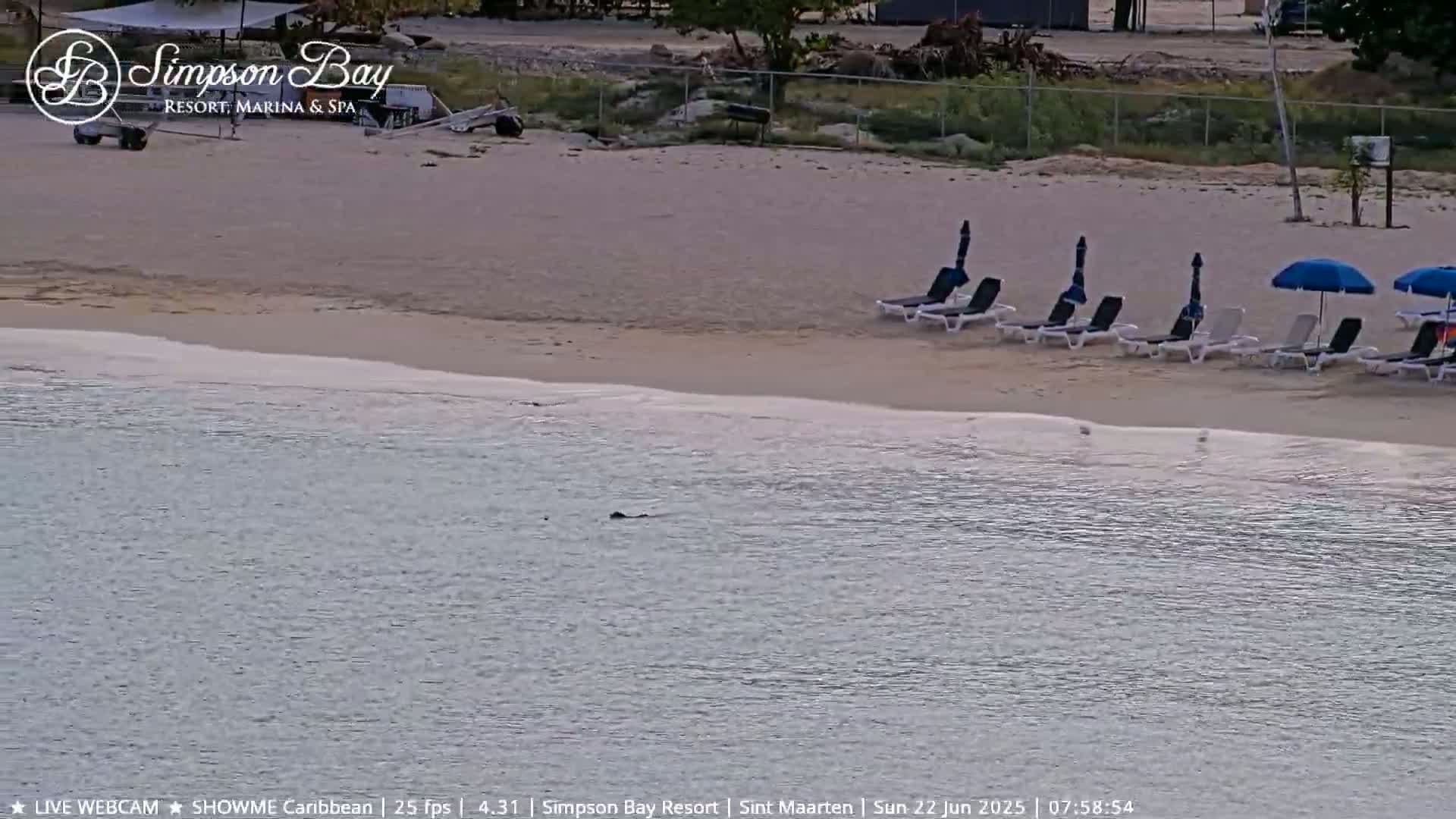 A sandy beach with lounge chairs and umbrellas under a calm sky borders calm, shallow water.