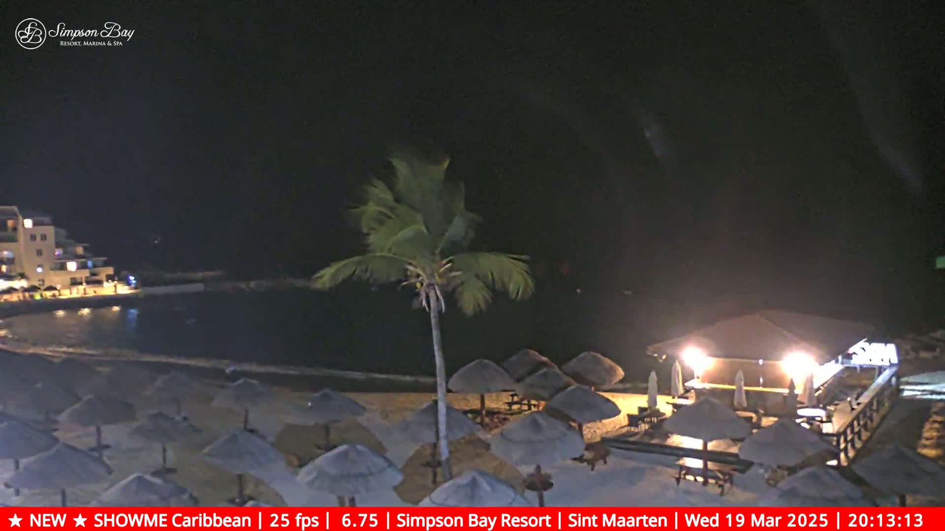 A nighttime beach scene shows a calm body of water, a sandy shore lined with closed umbrellas and a beachfront bar, and a palm tree swaying in the wind.