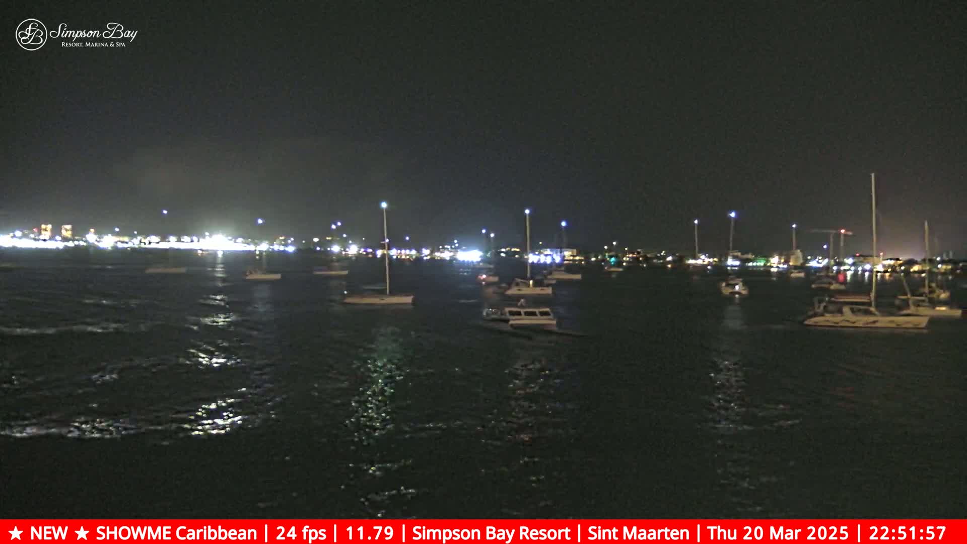 Numerous boats are moored in a calm bay at night, with a city's lights visible in the distance.
