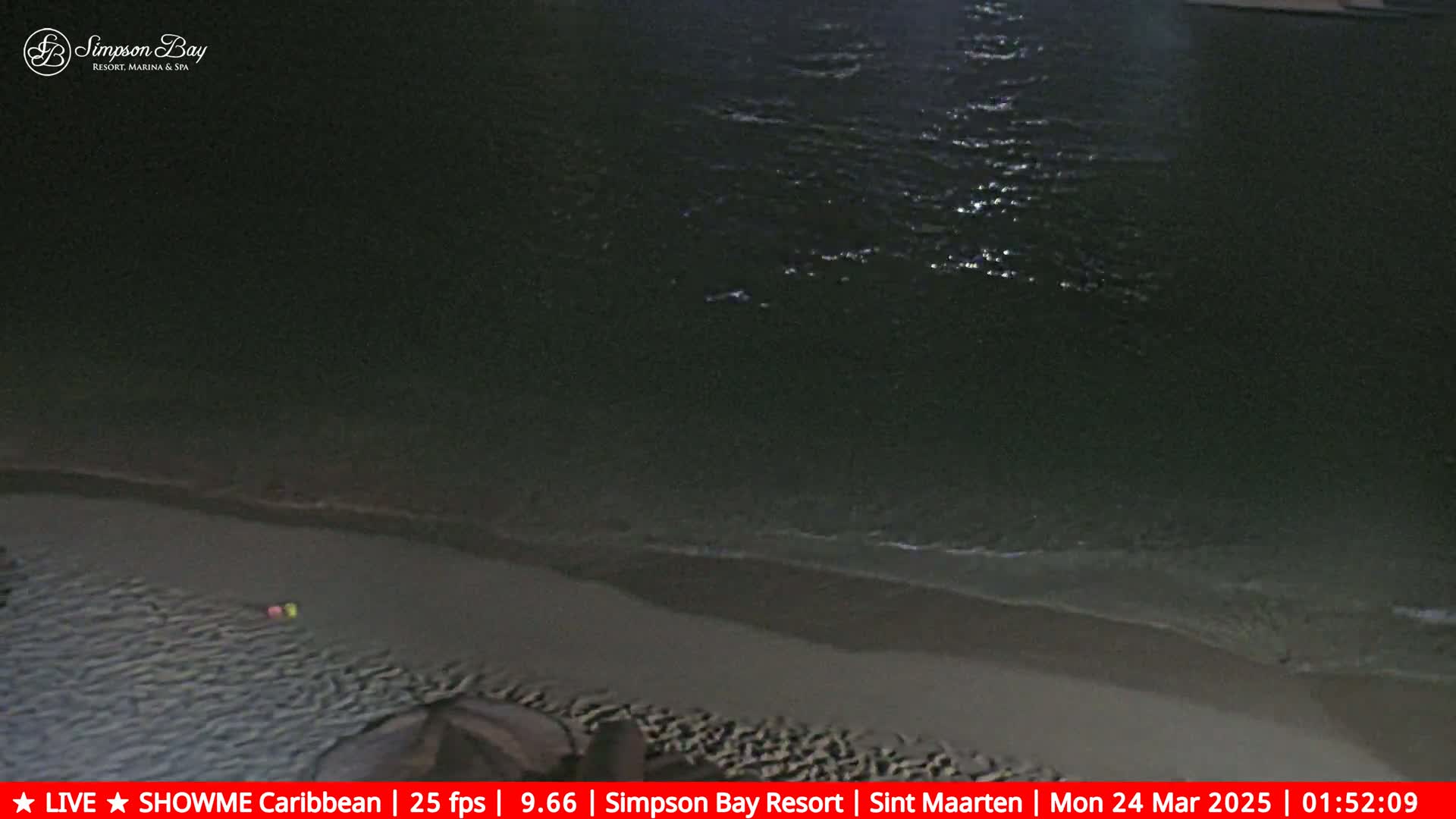 A dark, sandy beach meets a gently lapping, dark ocean under a nighttime sky.