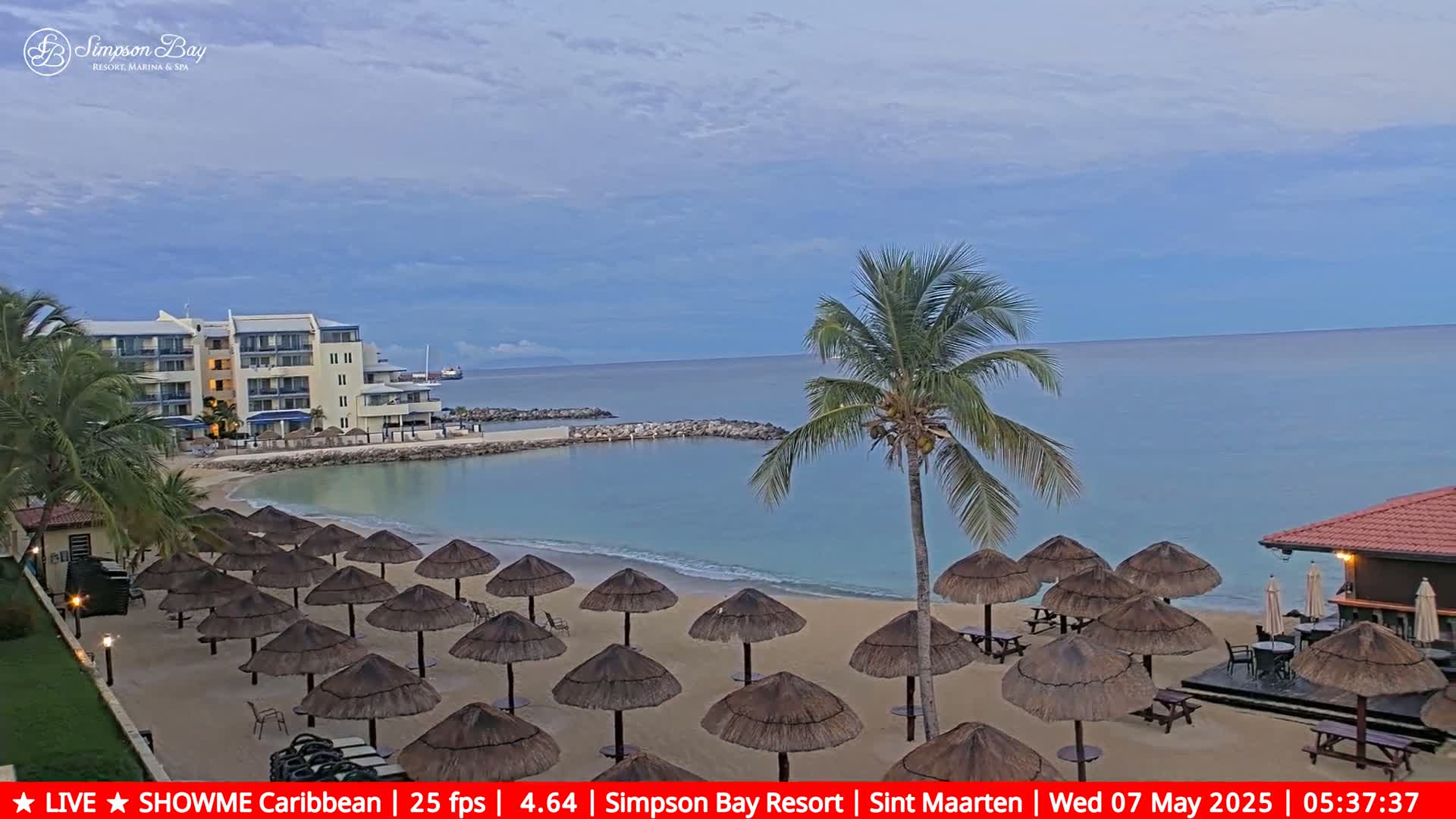 A calm, pale-blue ocean laps a sandy beach lined with thatched umbrellas beneath a mostly clear, light-blue sky.