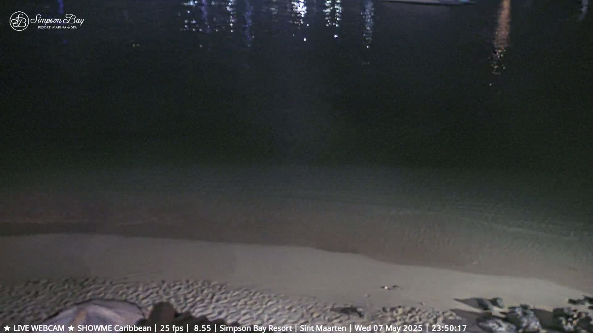 A dark sandy beach meets calm, dark water at night.
