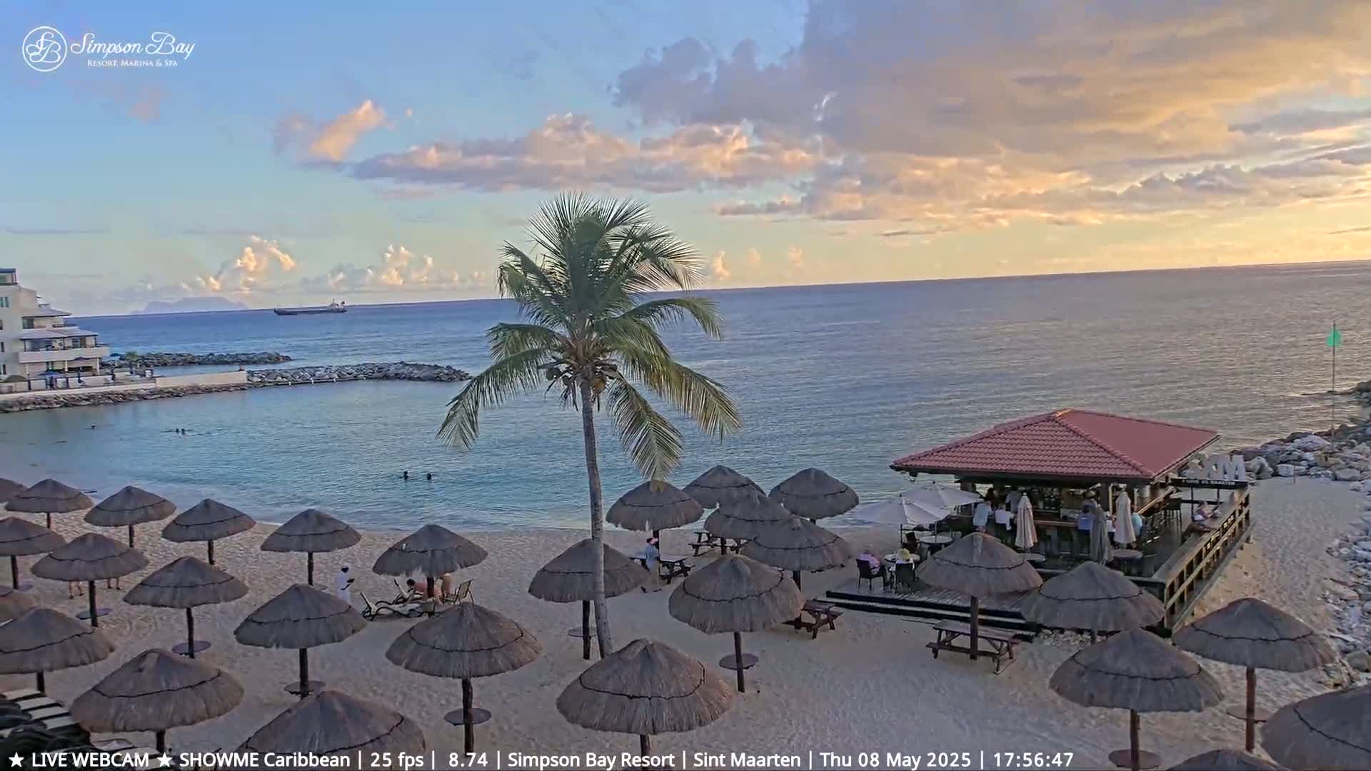 A sandy beach with numerous thatched umbrellas, a beachfront bar, and a palm tree is visible under a partly cloudy sunset sky; calm ocean water is in the background.