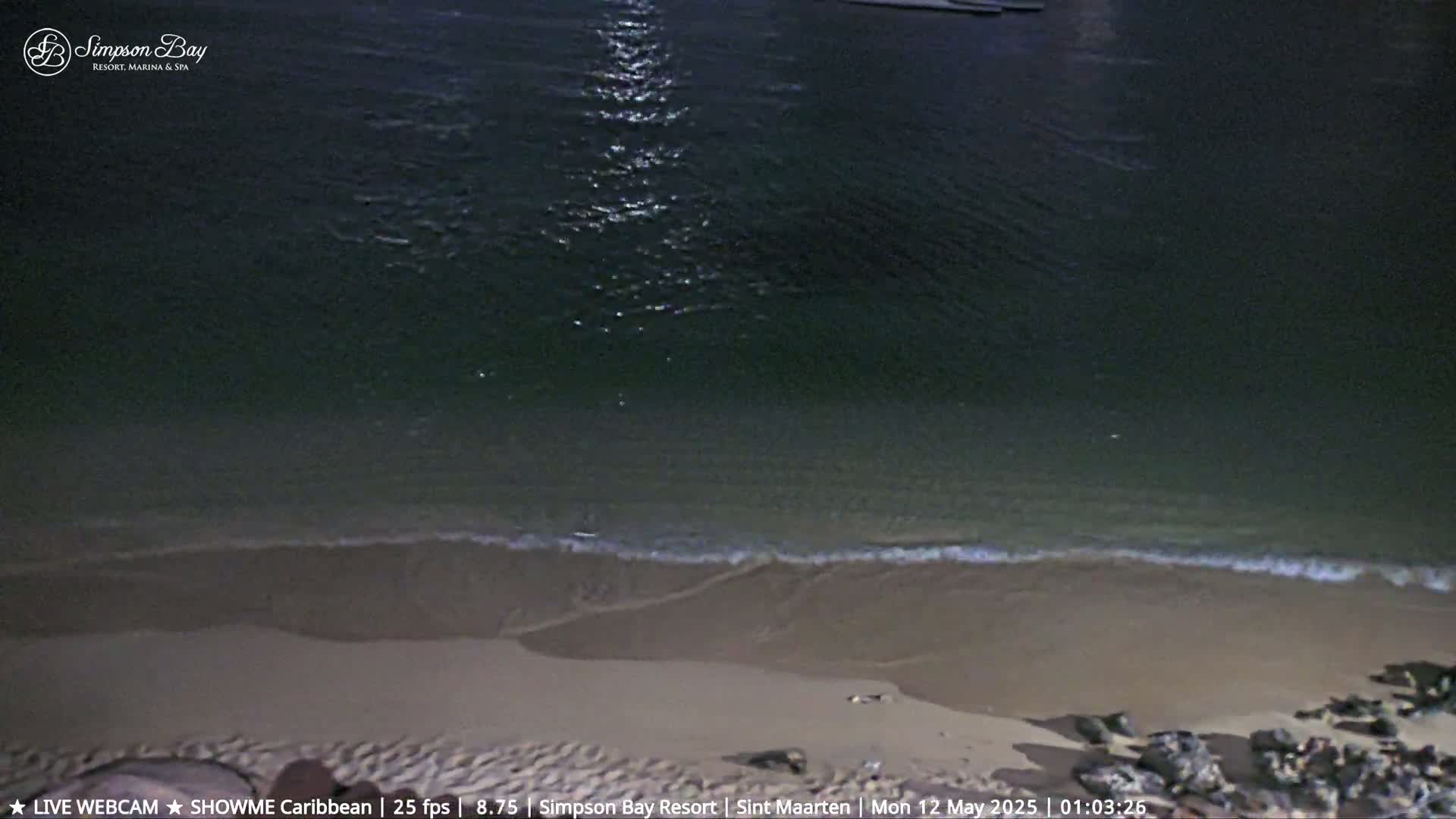A dark, moonlit beach at night with gentle waves lapping the shore.