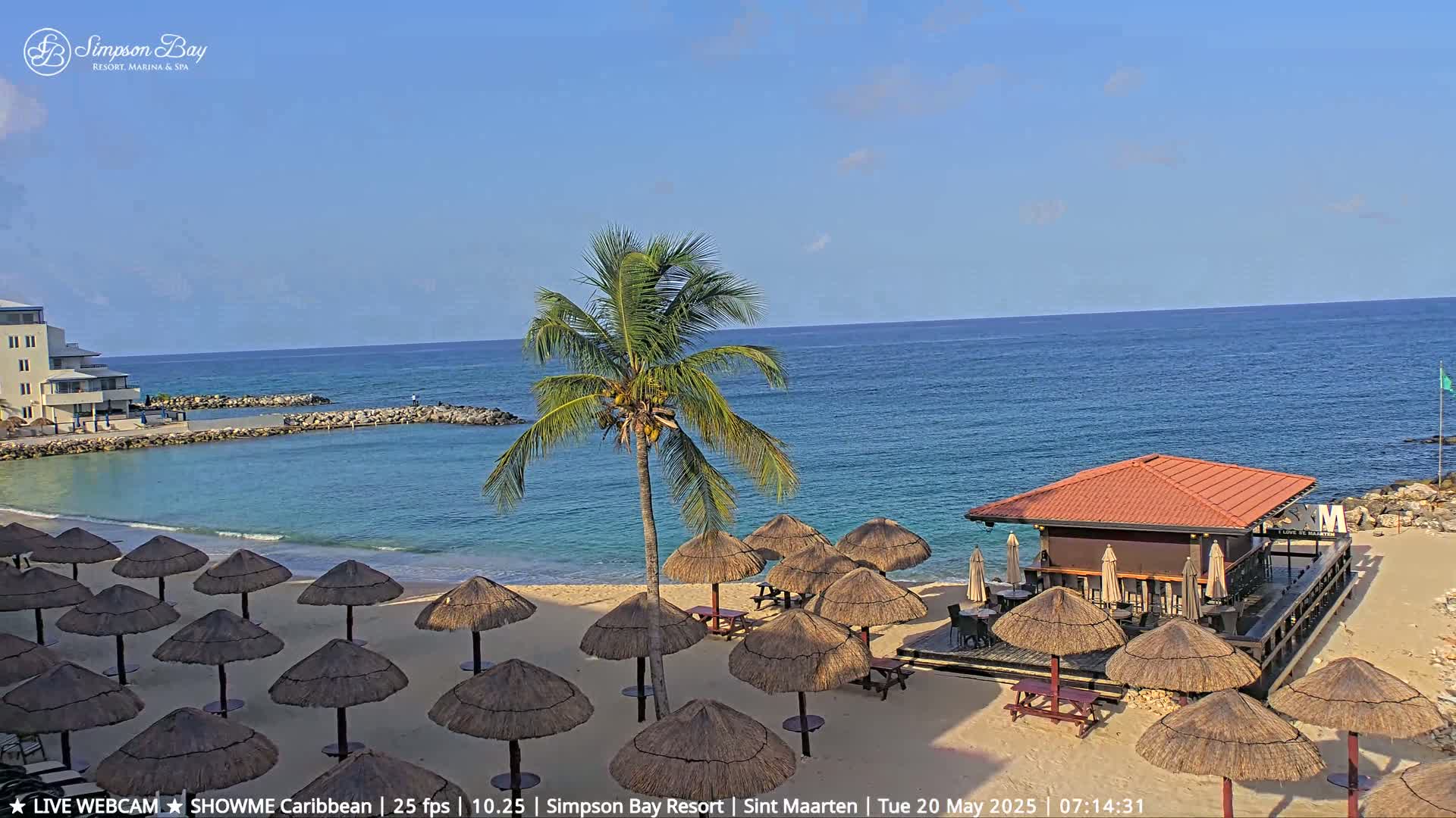 A sandy beach with numerous thatched umbrellas, a beachfront bar, and a palm tree overlooks a calm ocean under a clear sky.