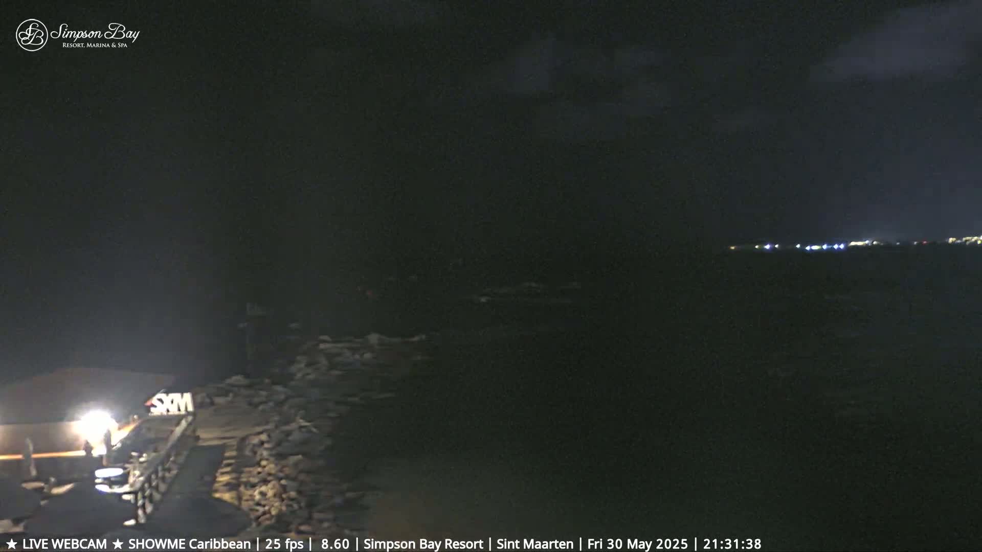 A nighttime view of a dark body of water with a rocky shoreline and distant lights.