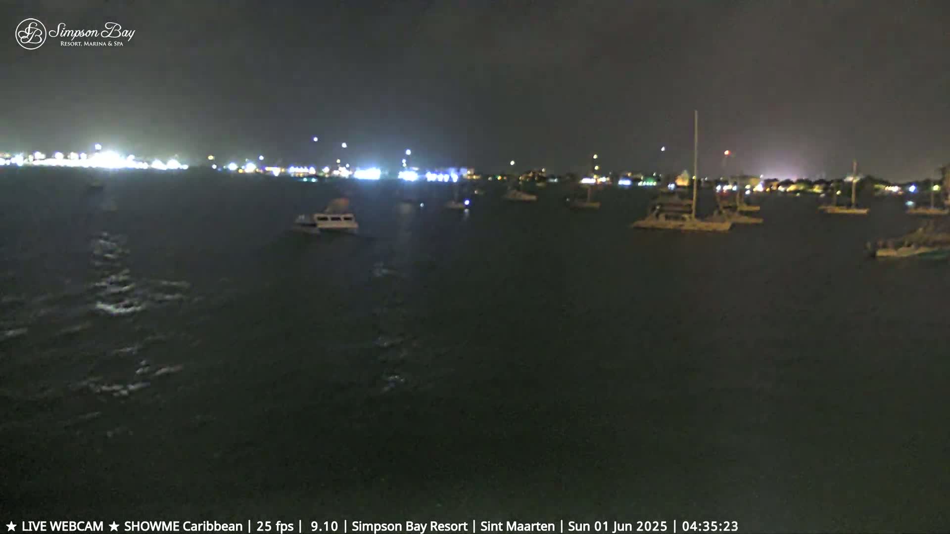 Several boats are moored in a dark body of water at night, with a city skyline faintly illuminated in the distance.