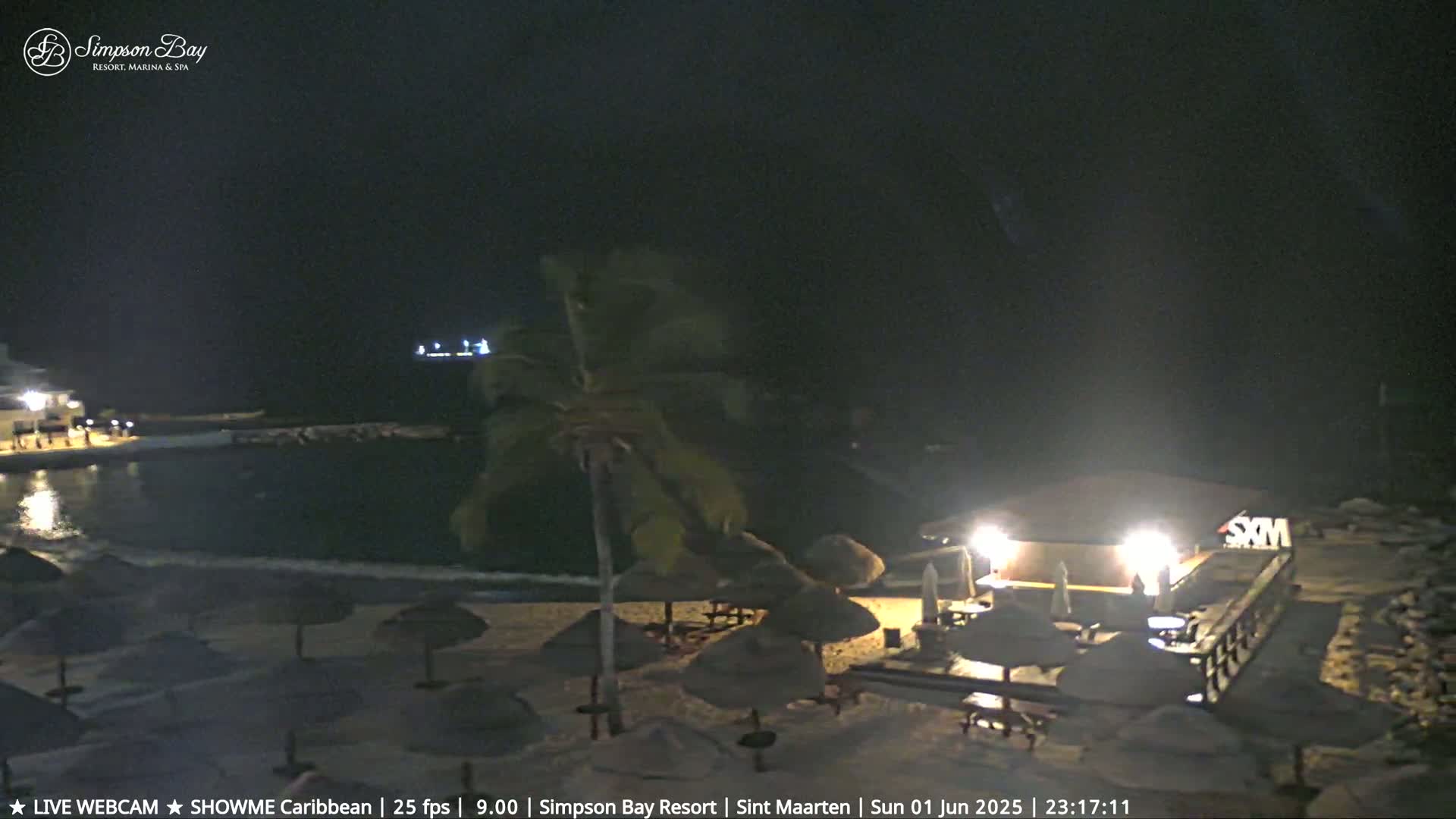 A nighttime beach scene shows a calm body of water, a sandy shore with closed umbrellas and beach furniture near a lit building, and a palm tree swaying gently in the dark.