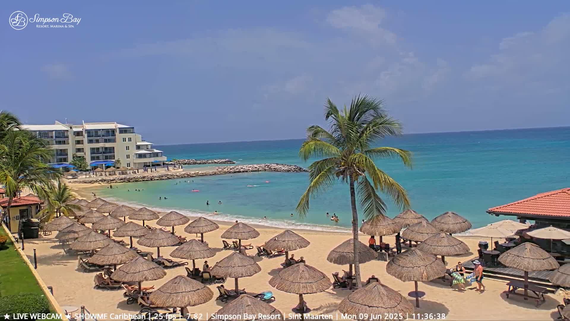 A sandy beach with numerous thatched umbrellas, a calm turquoise ocean, a resort building, and a palm tree under a sunny sky.
