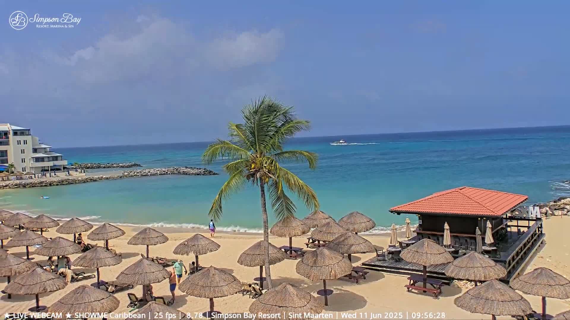 A sandy beach with numerous thatched umbrellas, a small bar, and a palm tree is situated on a calm, turquoise ocean under a clear blue sky.