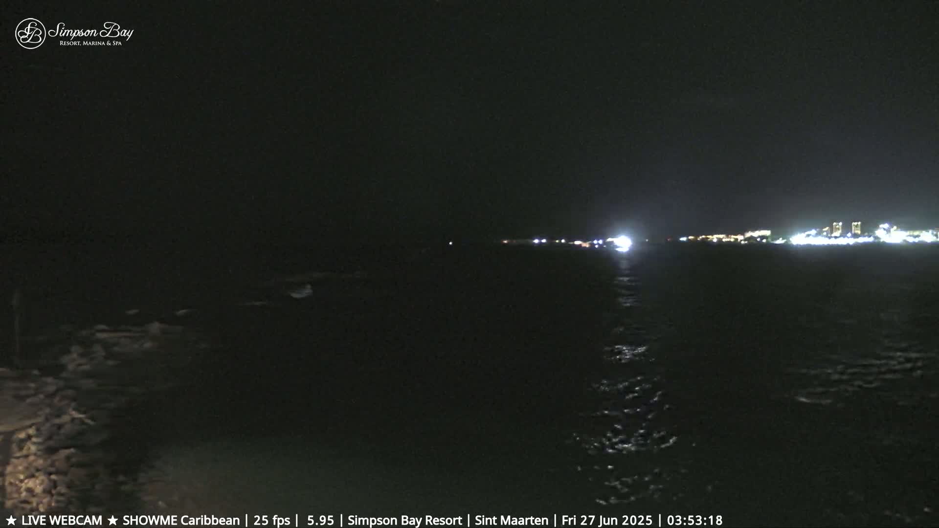 A nighttime view of a dark body of water with a faintly lit shoreline in the distance.