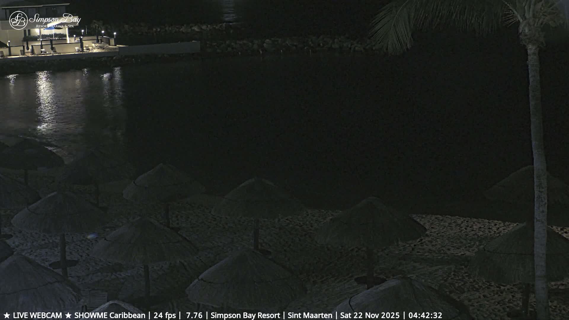 The nighttime scene shows a calm beach with numerous thatched umbrellas on the sand, a body of water reflecting distant lights from a resort, and a palm tree on the right, all under a clear, dark sky.